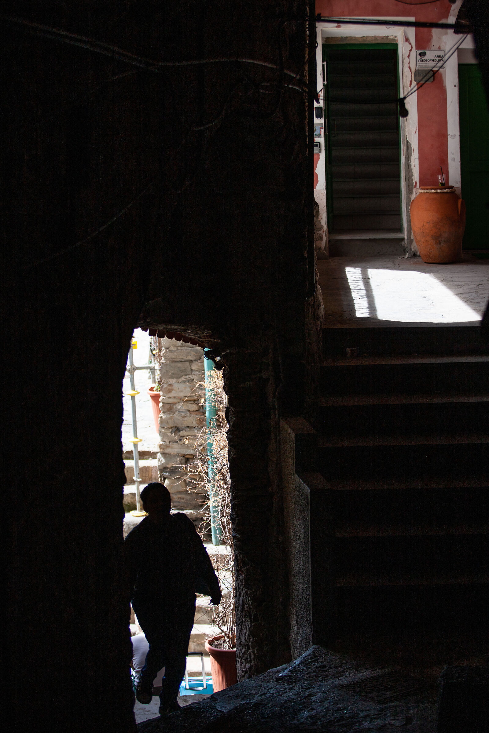 Untitled Photo