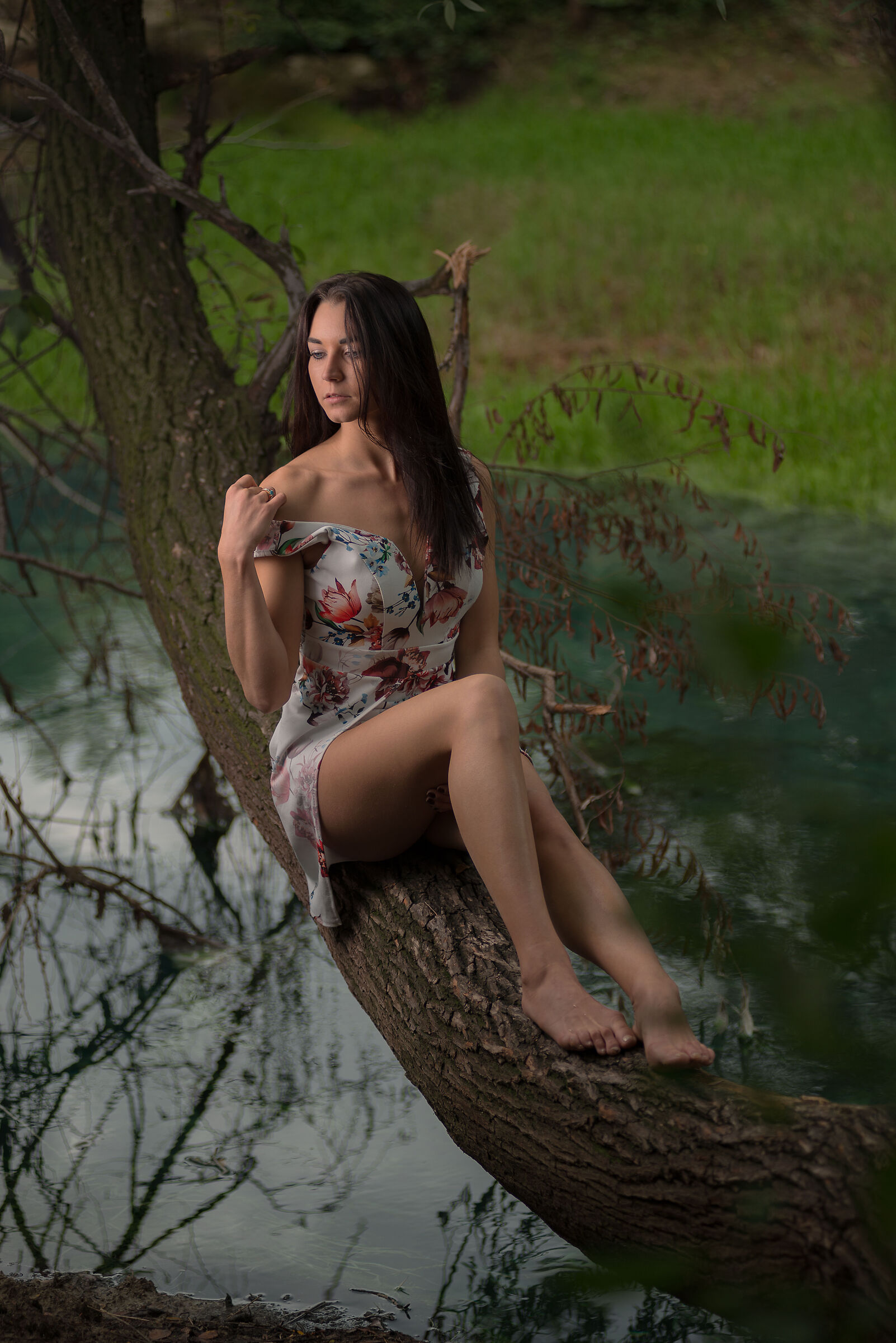 Alona