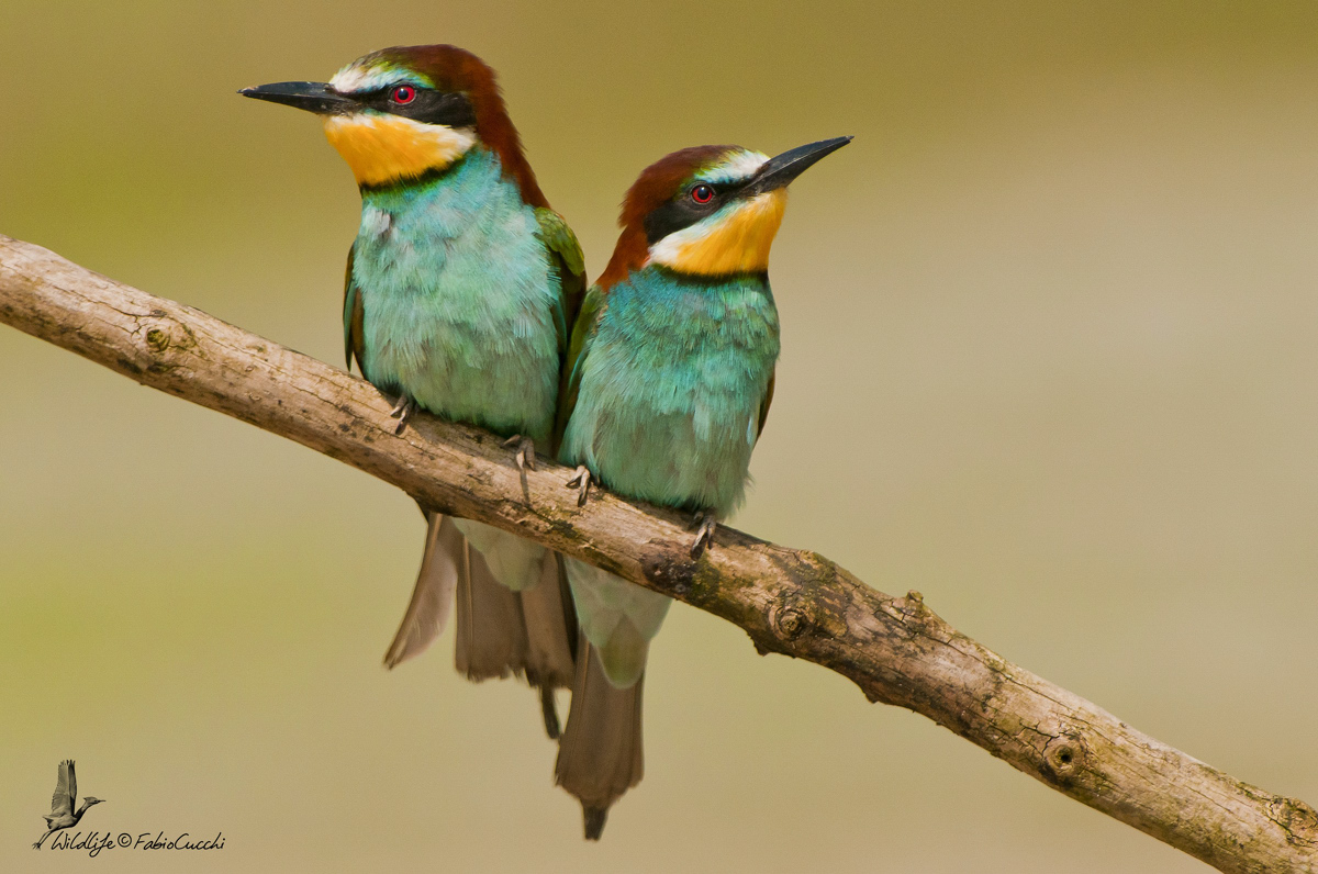 Nasty, hateful ... ...