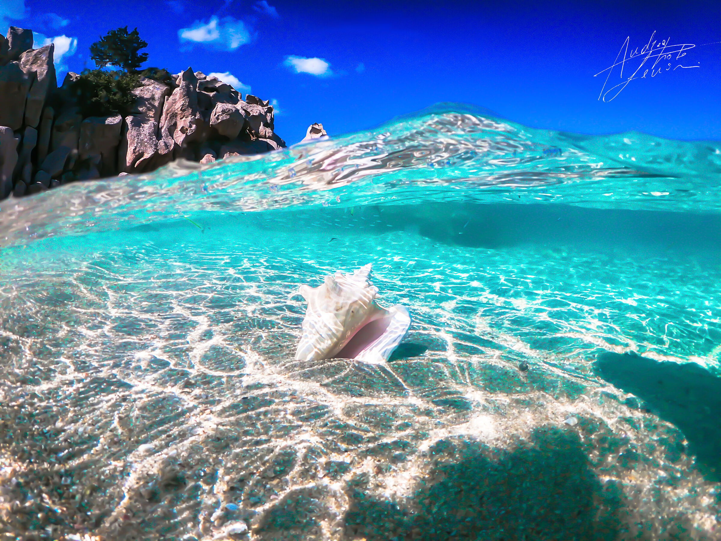 THE TWO FACES OF THE SEA