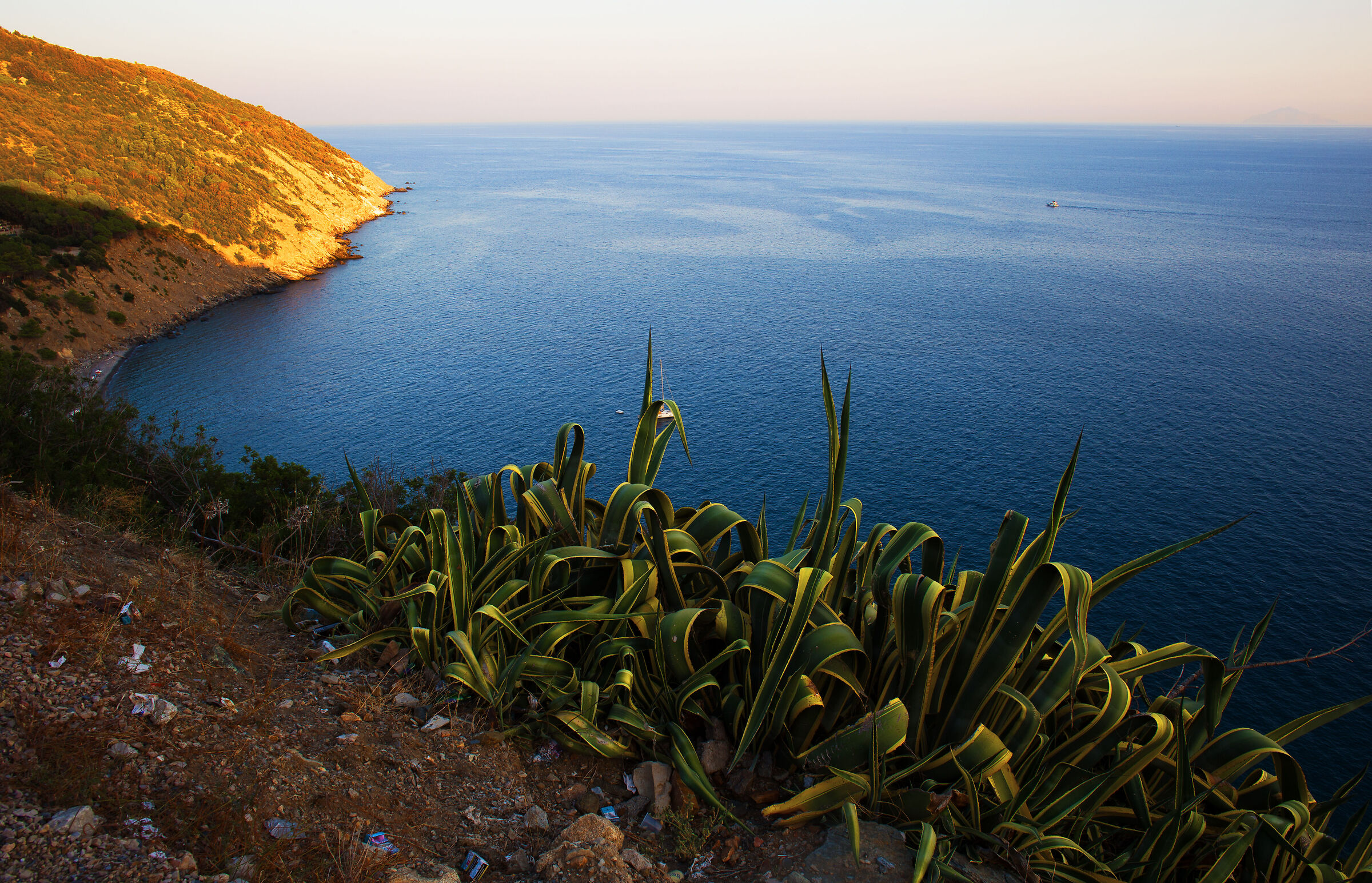 Elba
