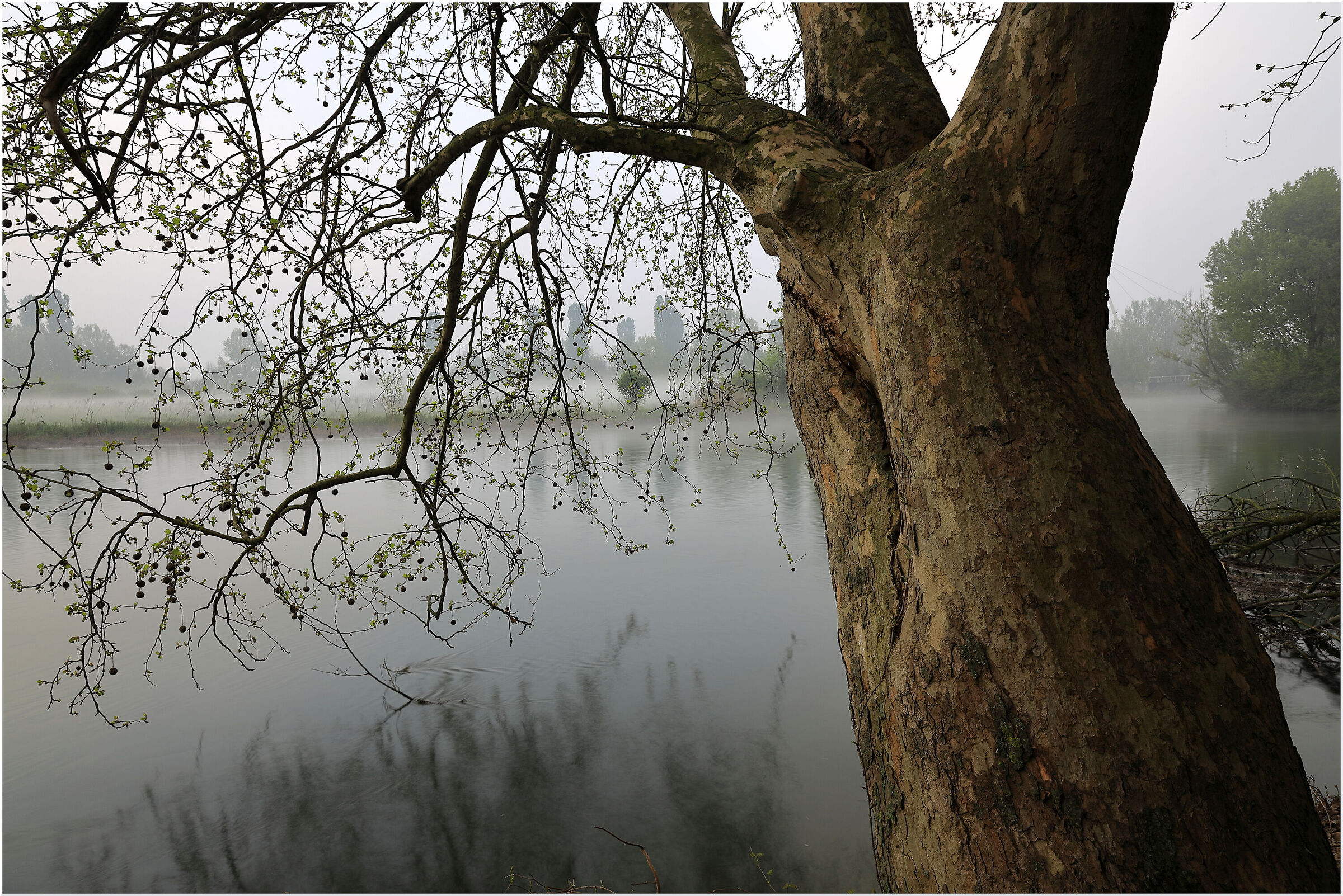 Strength and lightness...