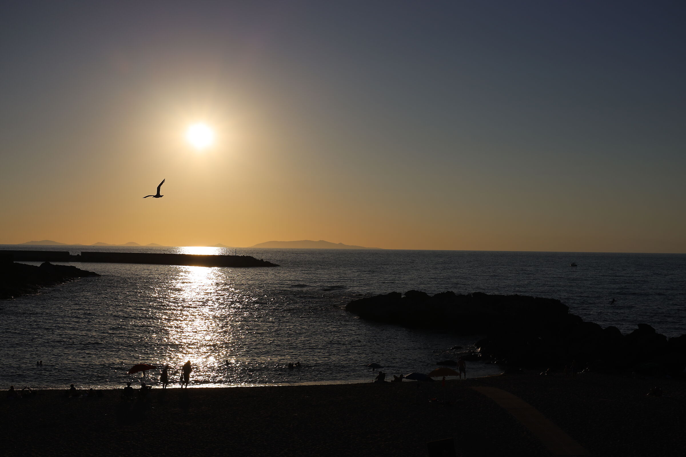 Untitled Photo