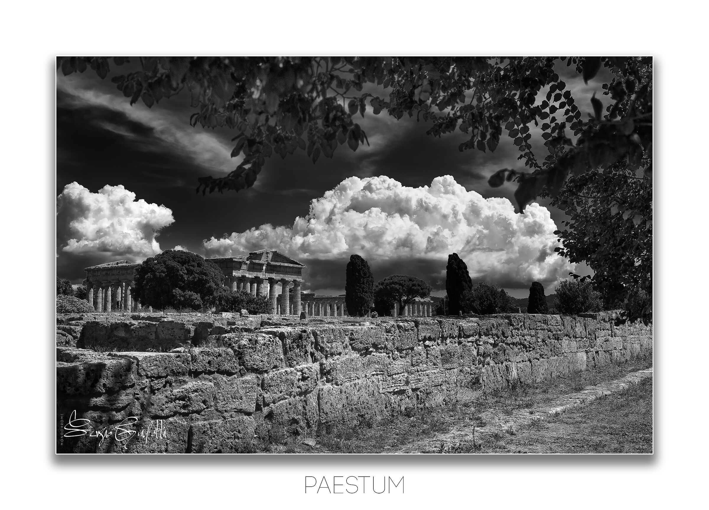 Paestum 5