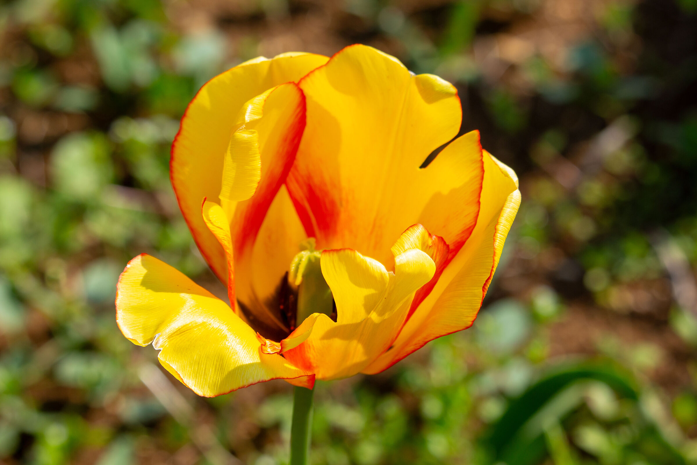 Test 2