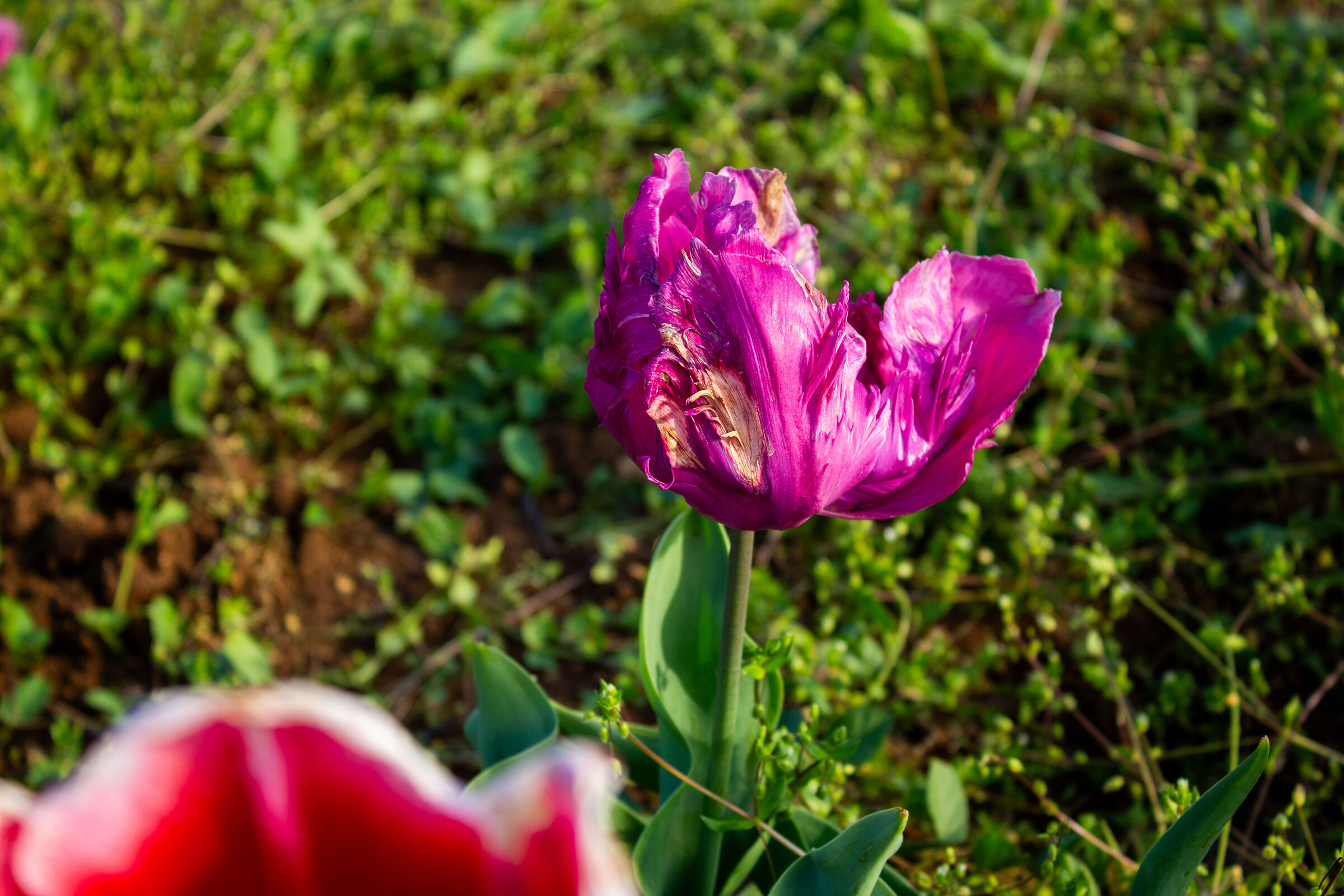 Test 4