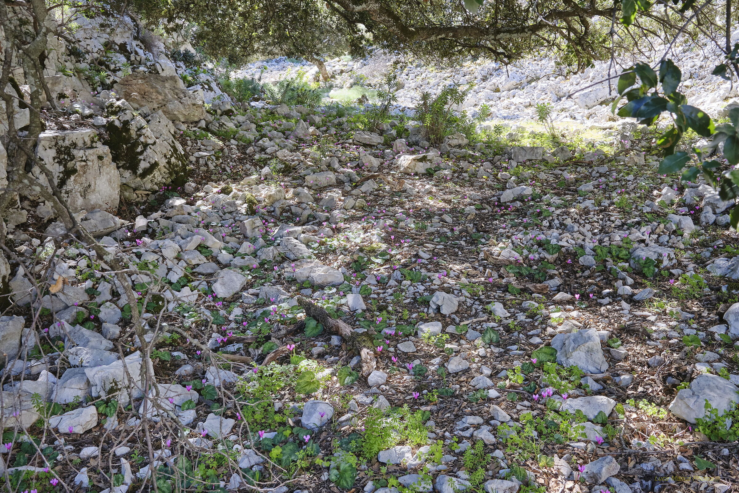 Trekking in Su Suercone, Orgosolo