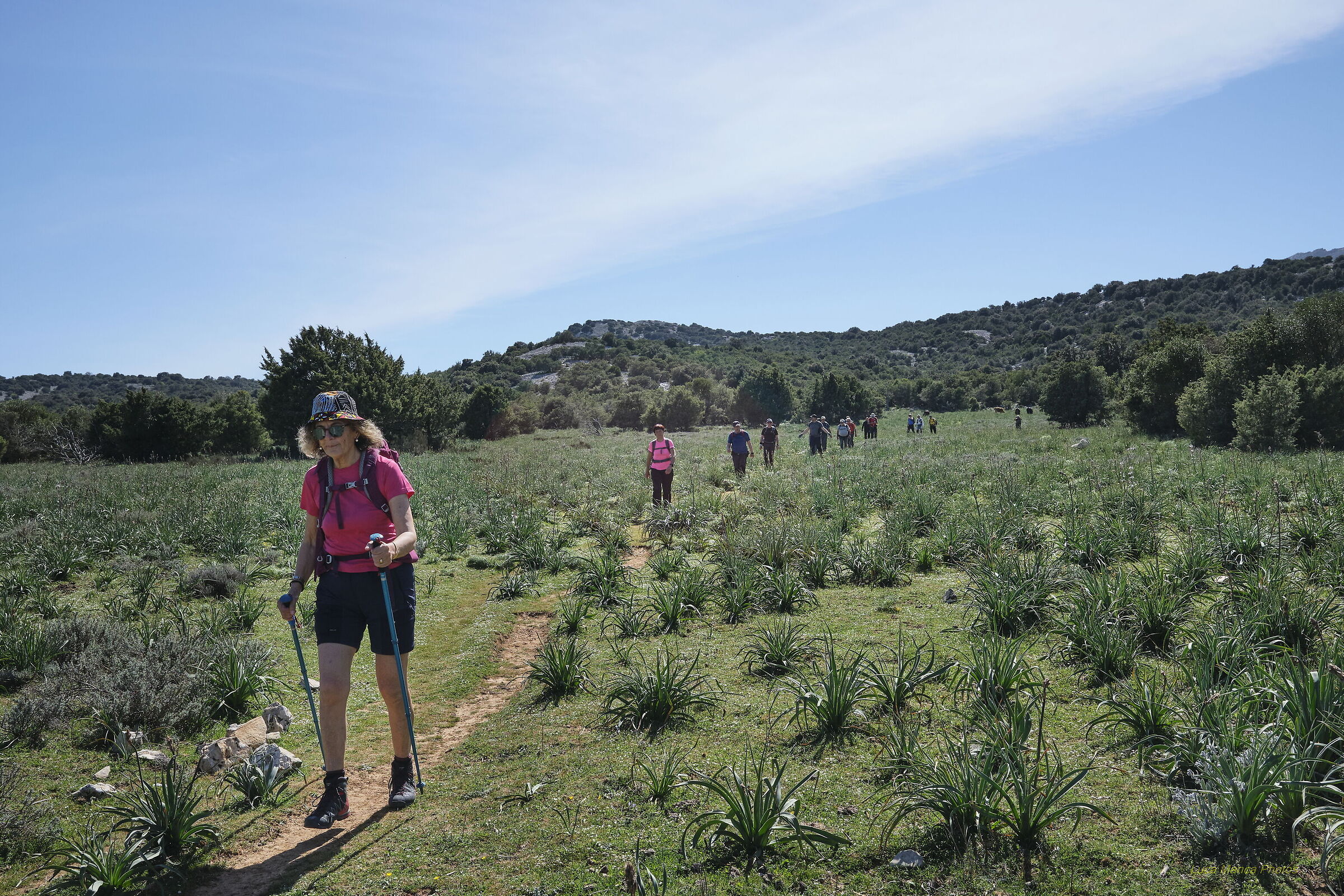 Dolina di Su Suercone