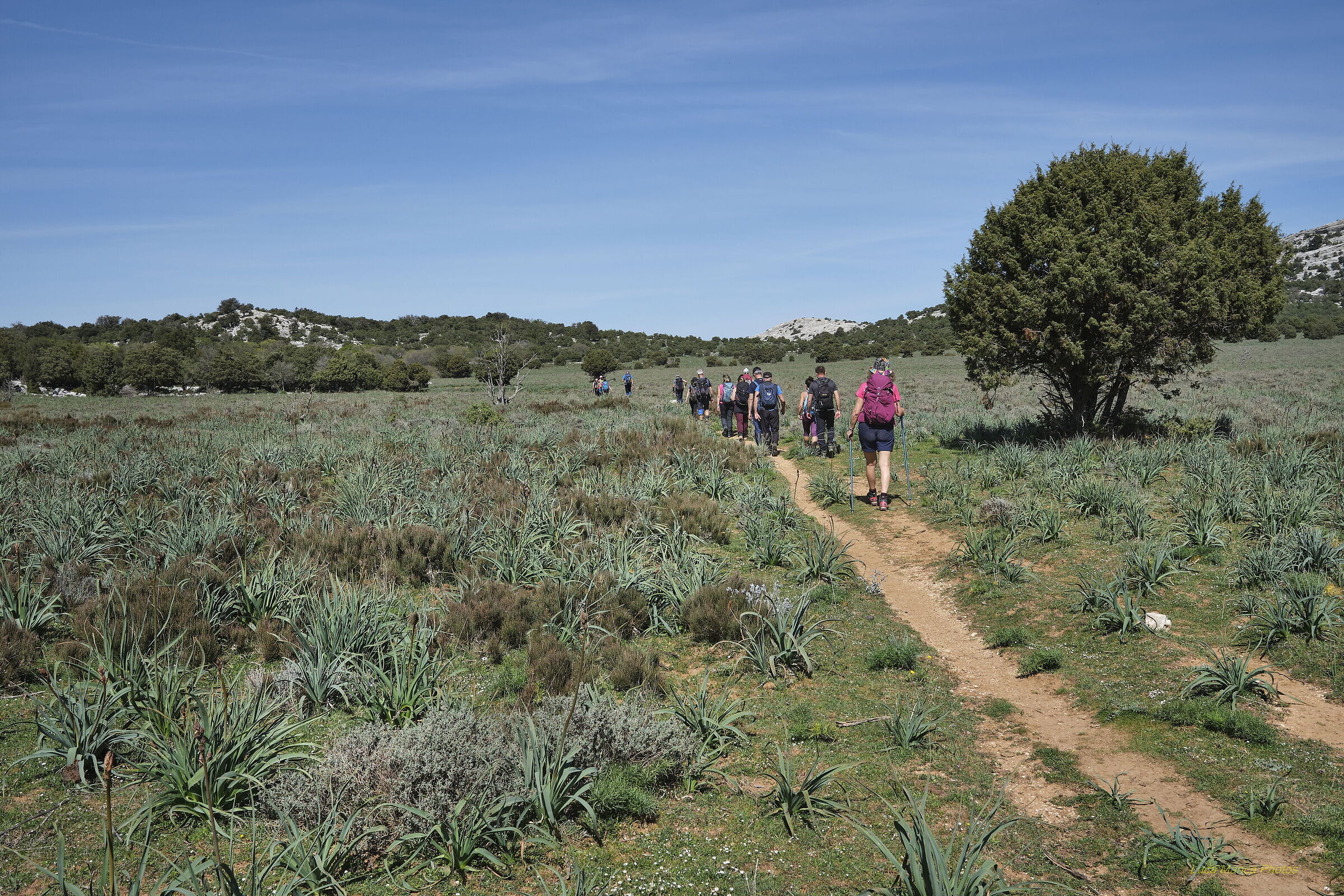 Dolina di Su Suercone