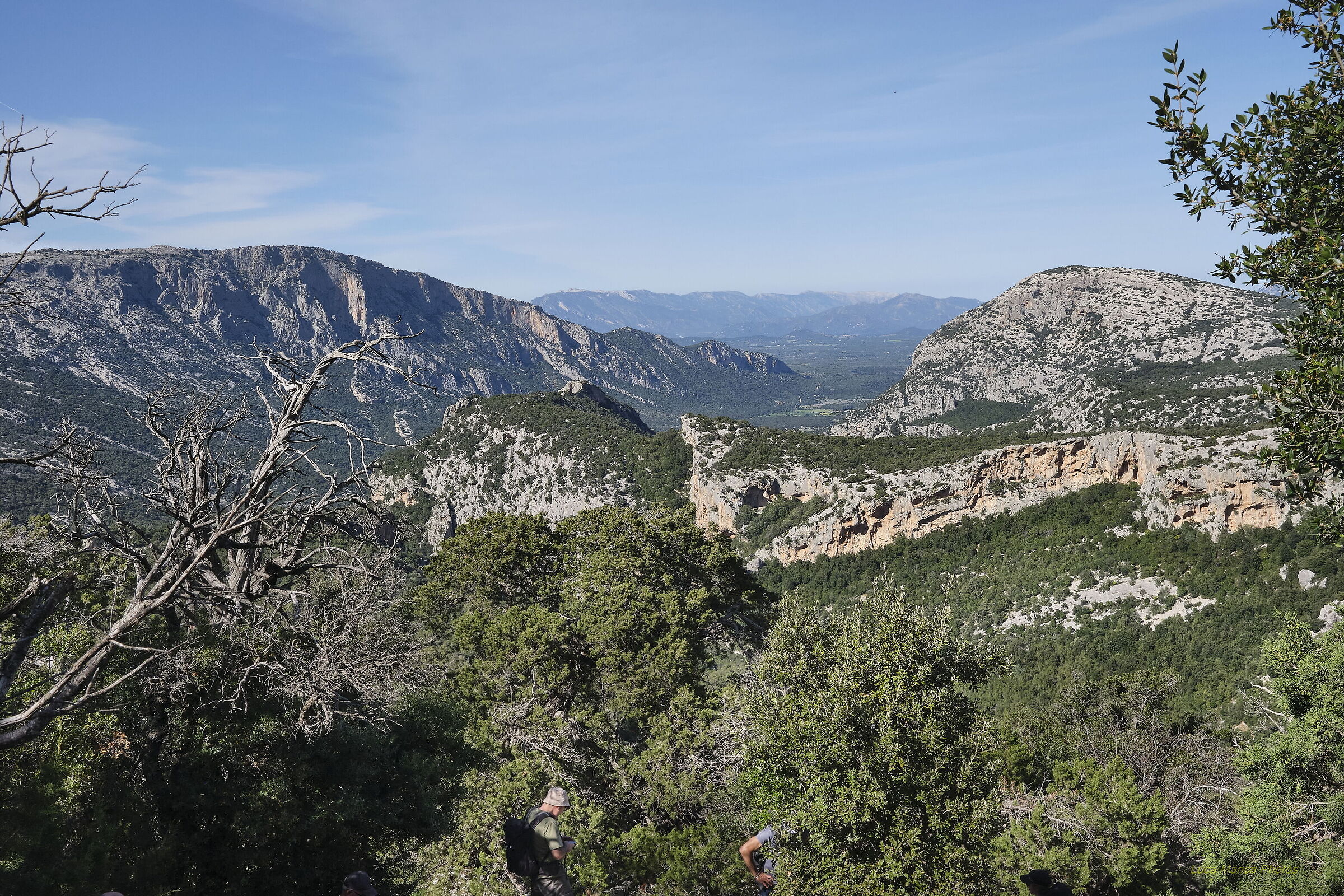 Dolina di Su Suercone