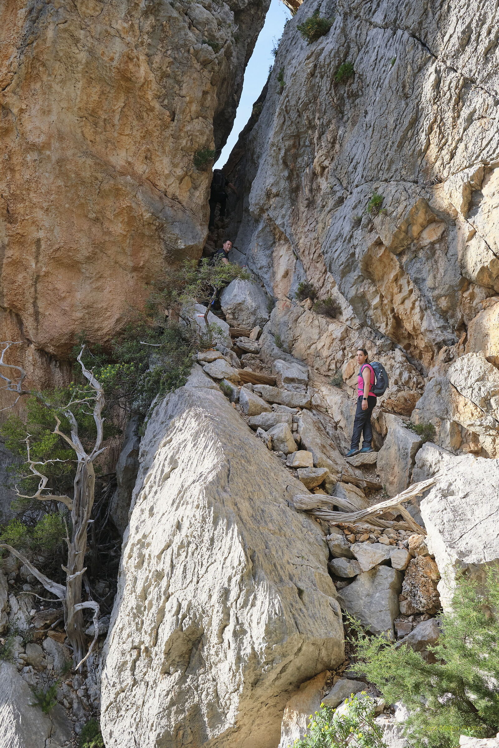 Dolina di Su Suercone