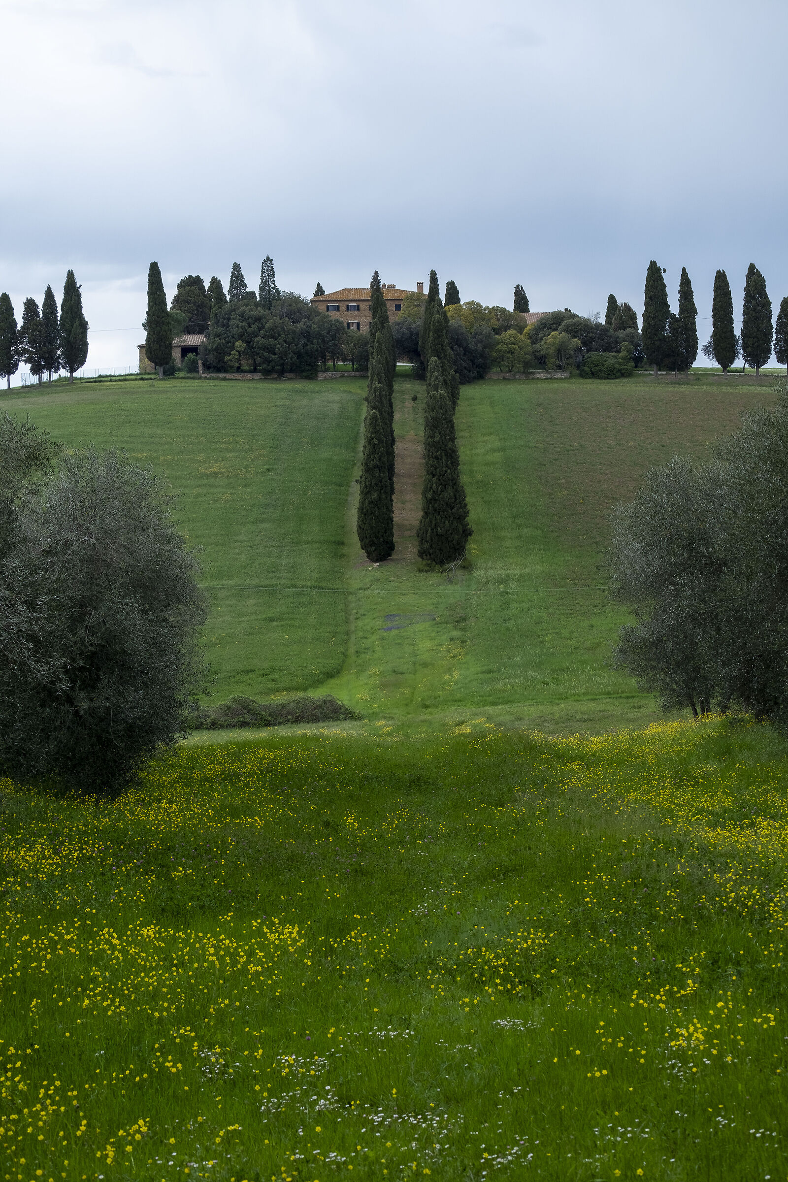 Senza Titolo