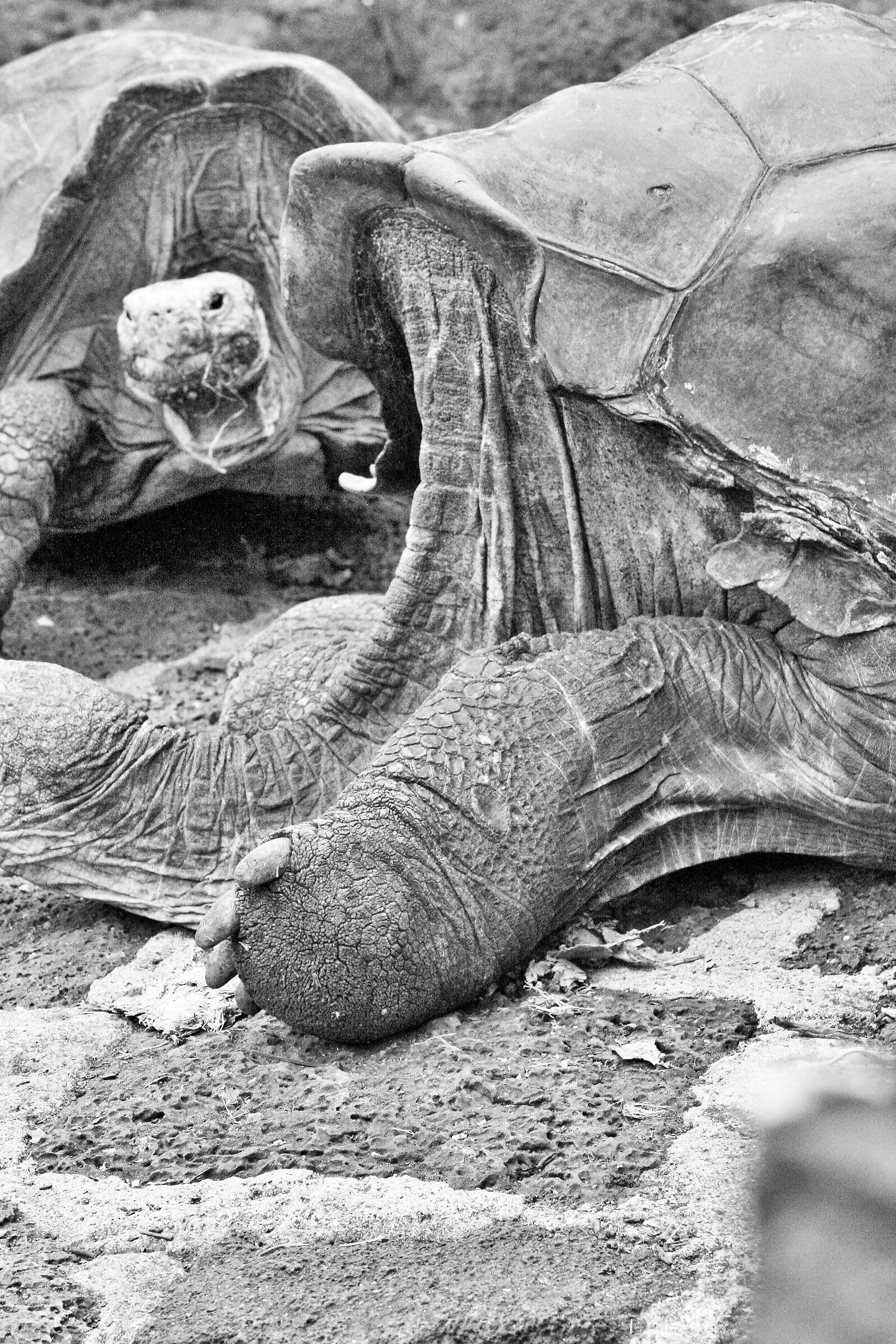 Needs anti-wrinkle cream