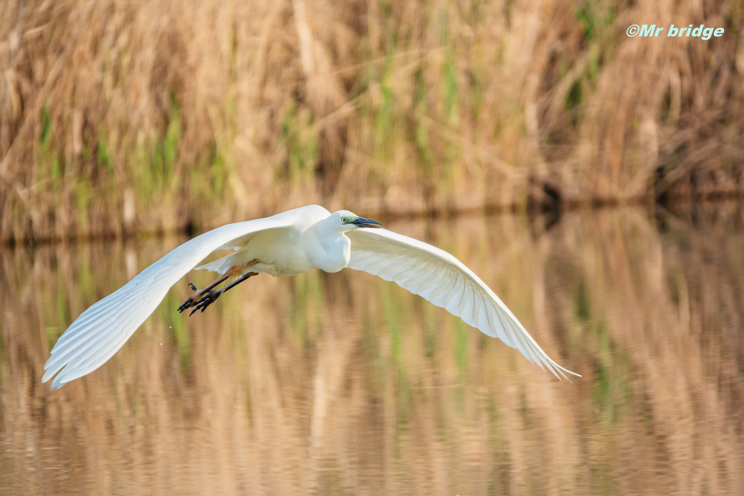 In flight