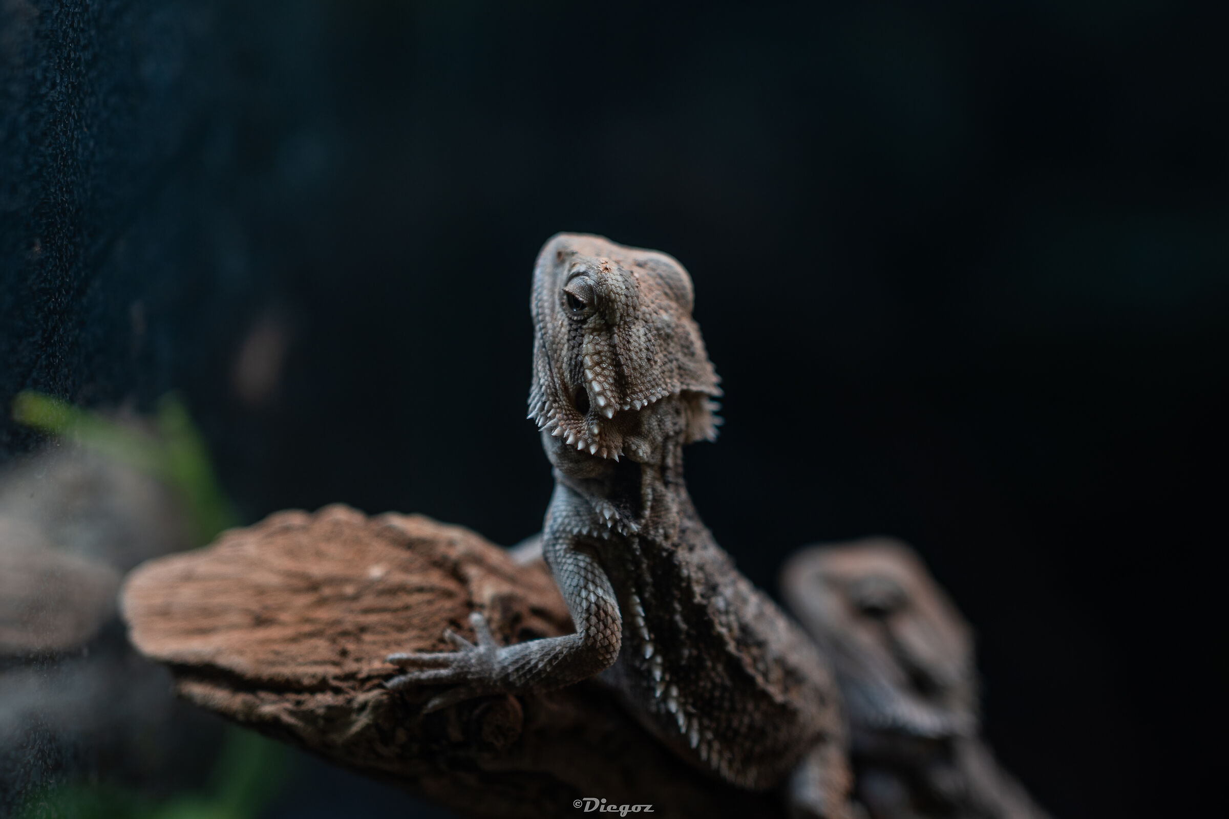 Untitled Photo
