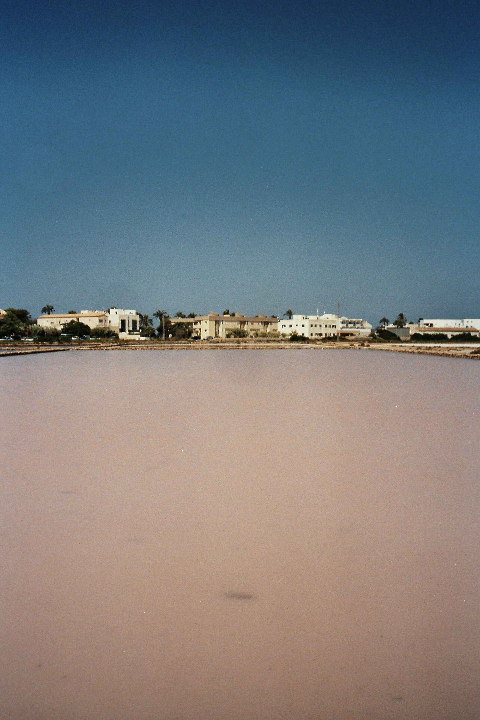 Pink savina