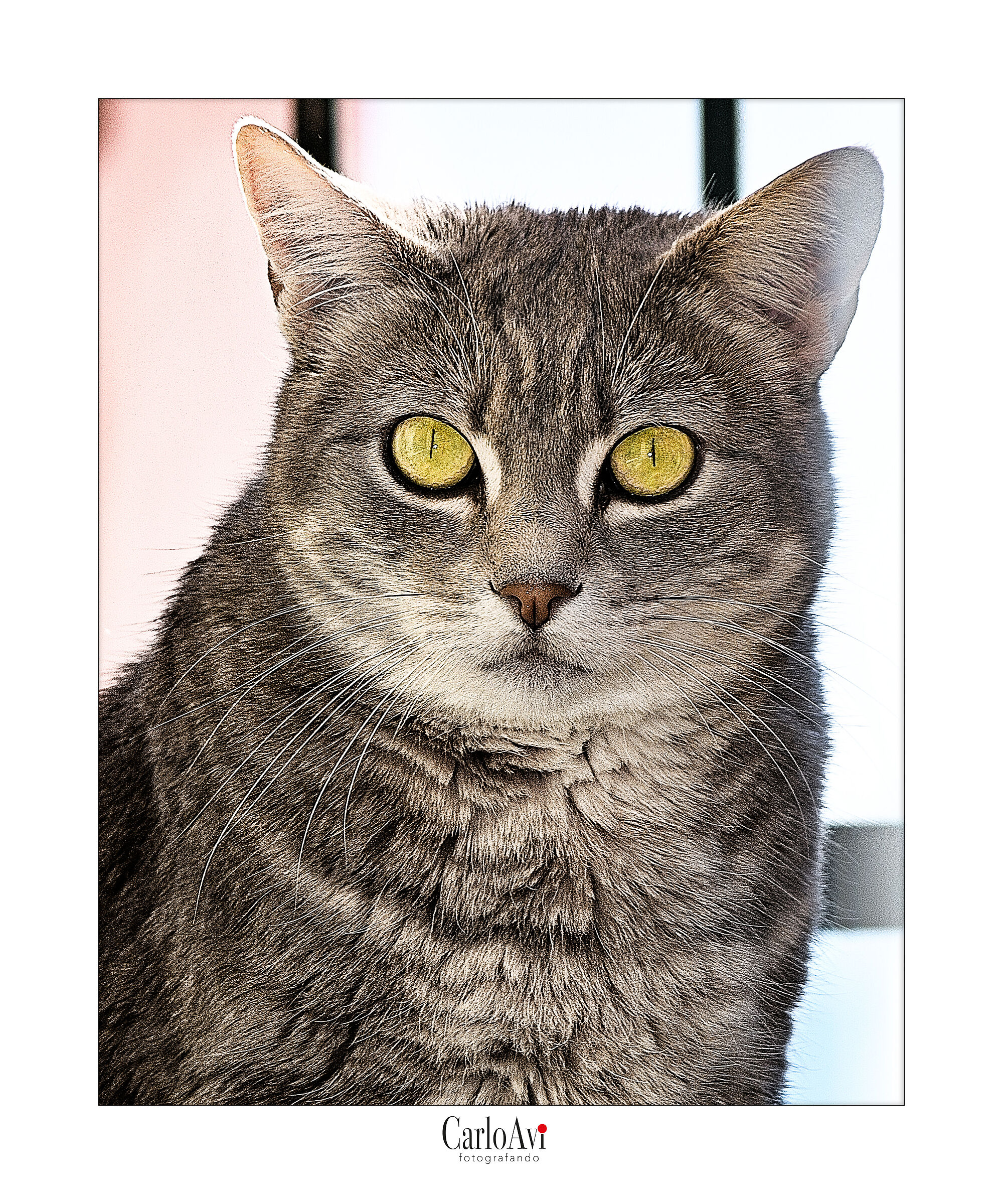 Oreste