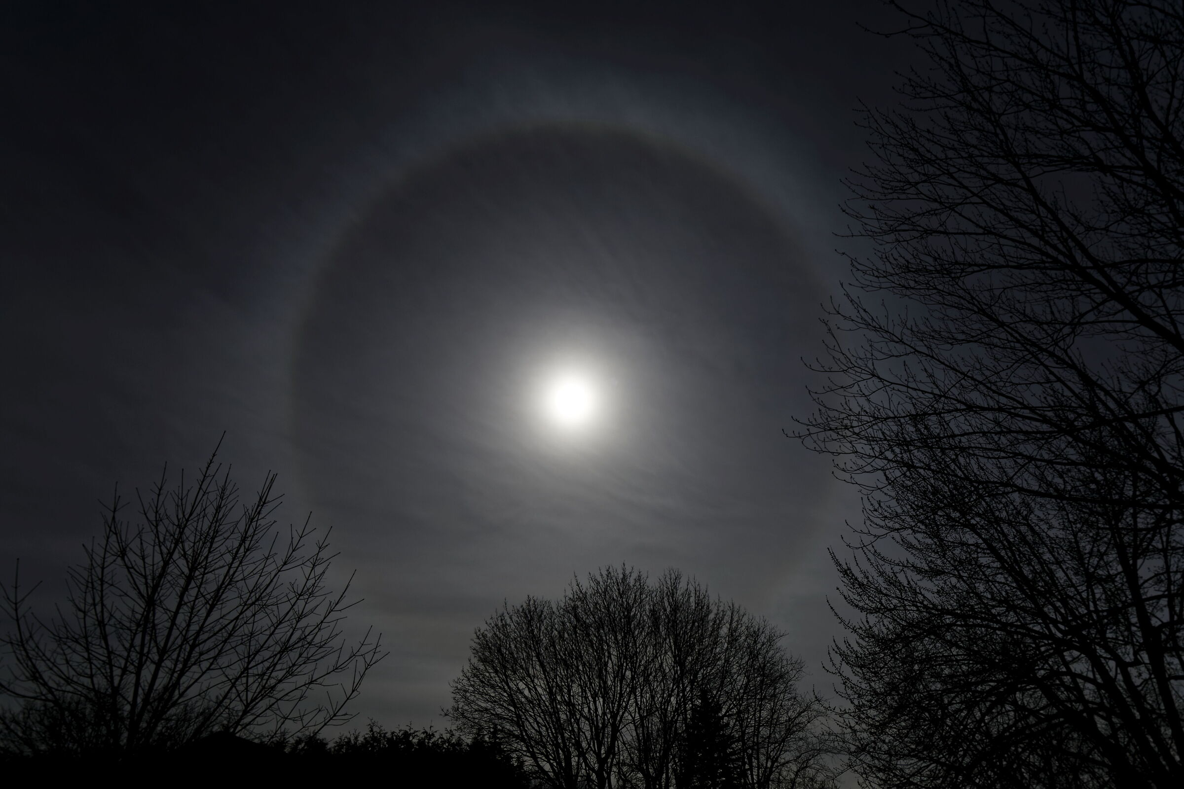 Halo