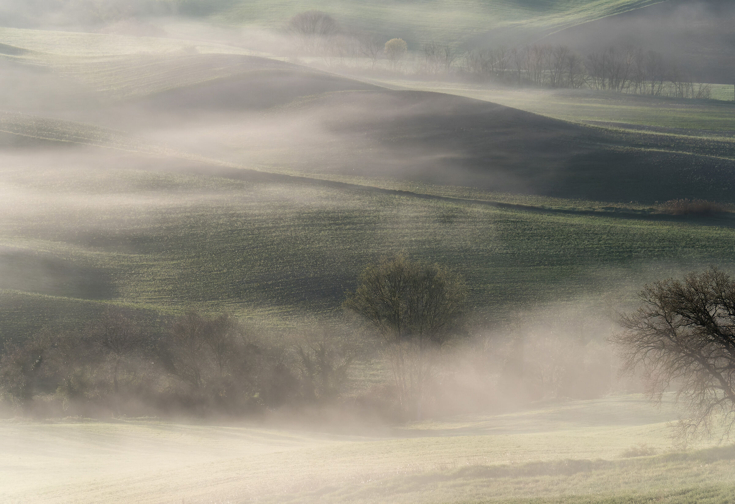 Hide the Distant Things