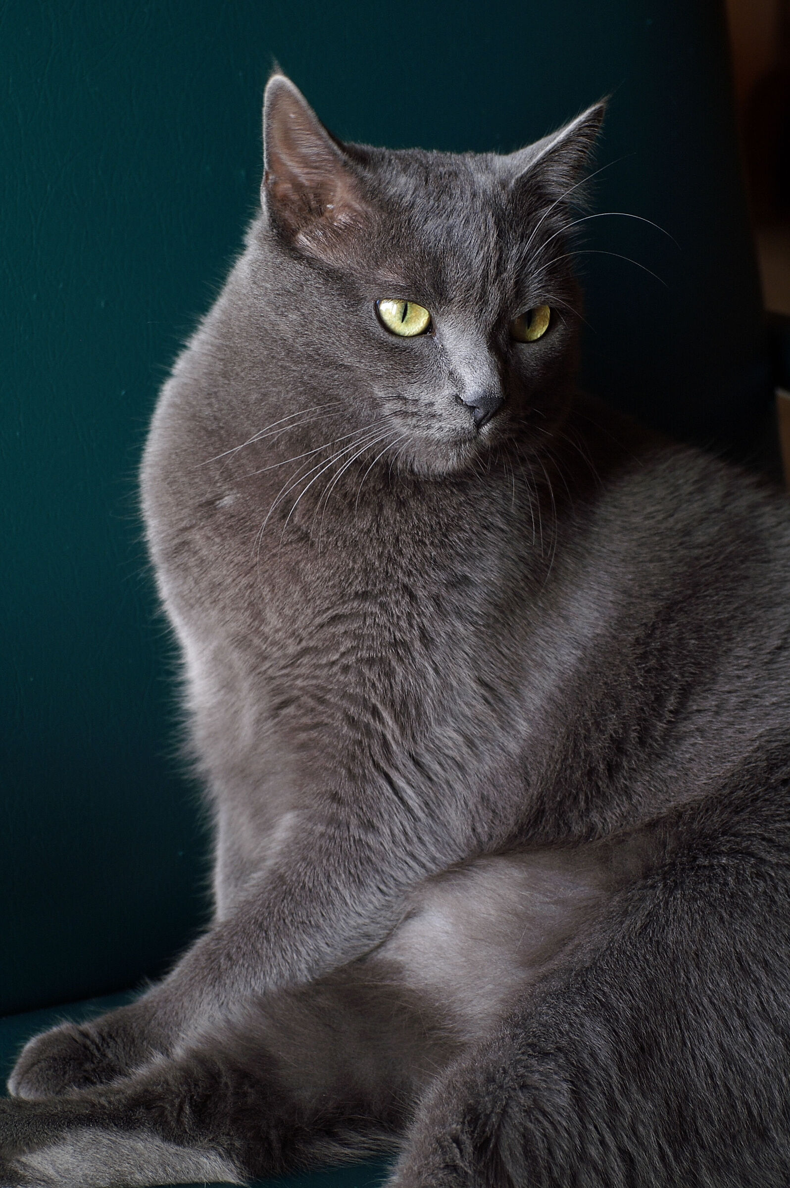 My