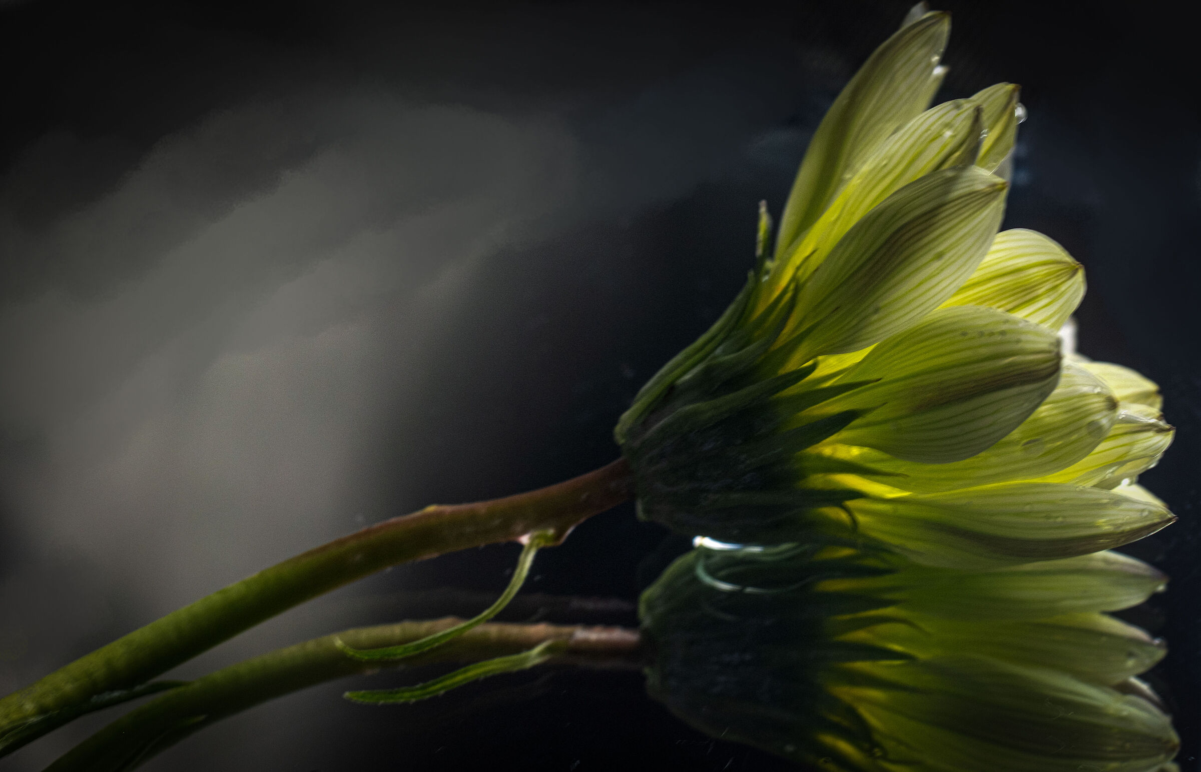 Looking for the best part of you