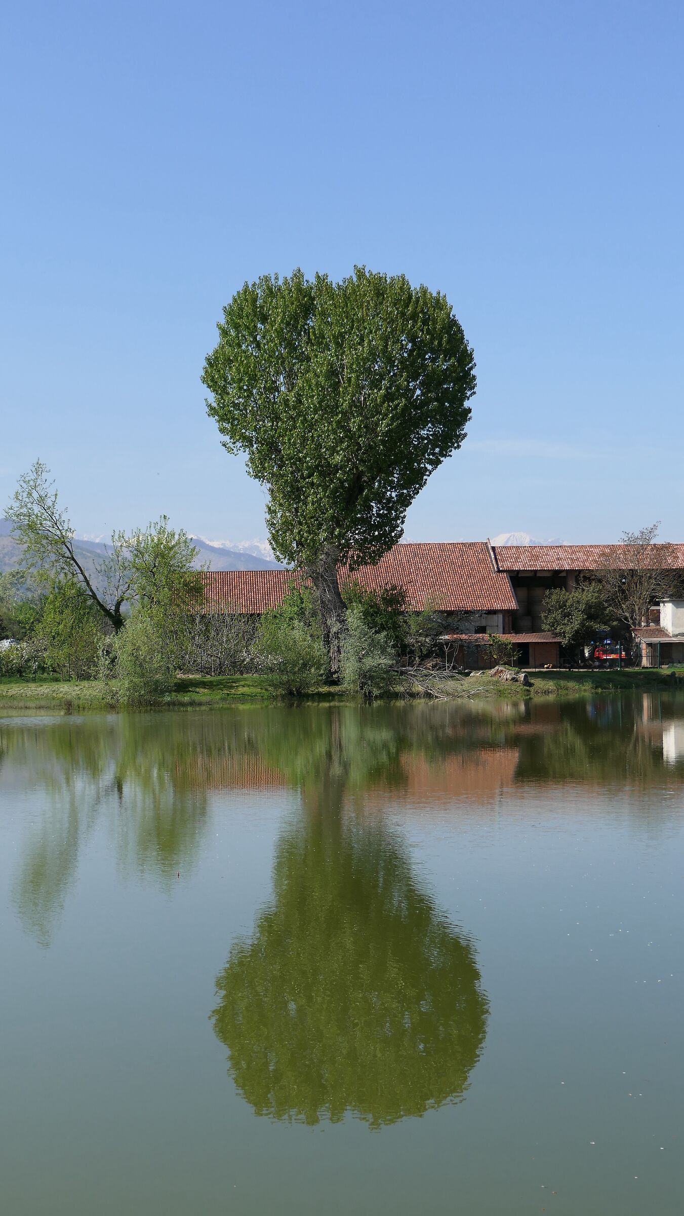 Reflections of the Heart