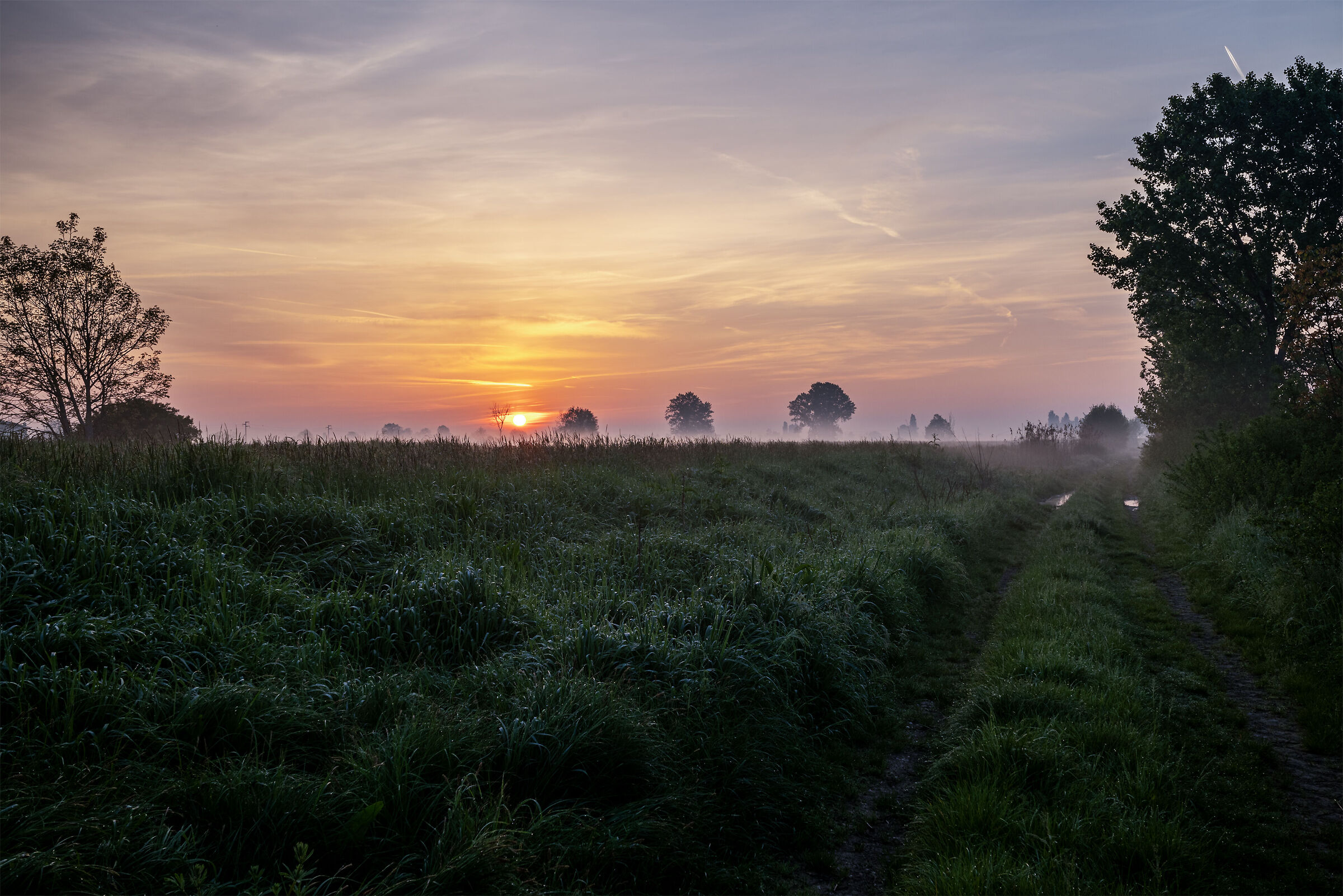 Alba HDR