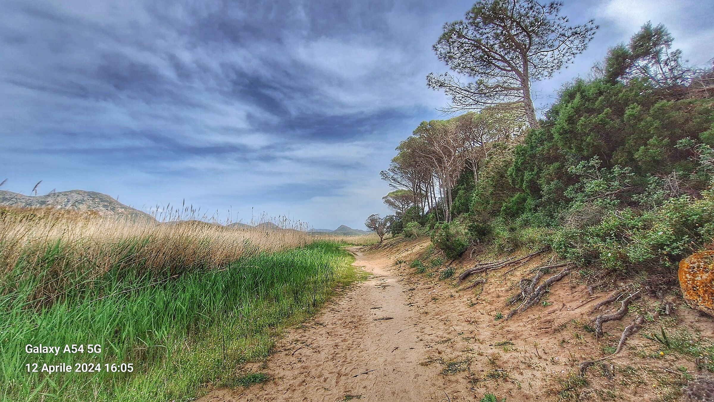 Un cammino verso la bellezza selvaggia