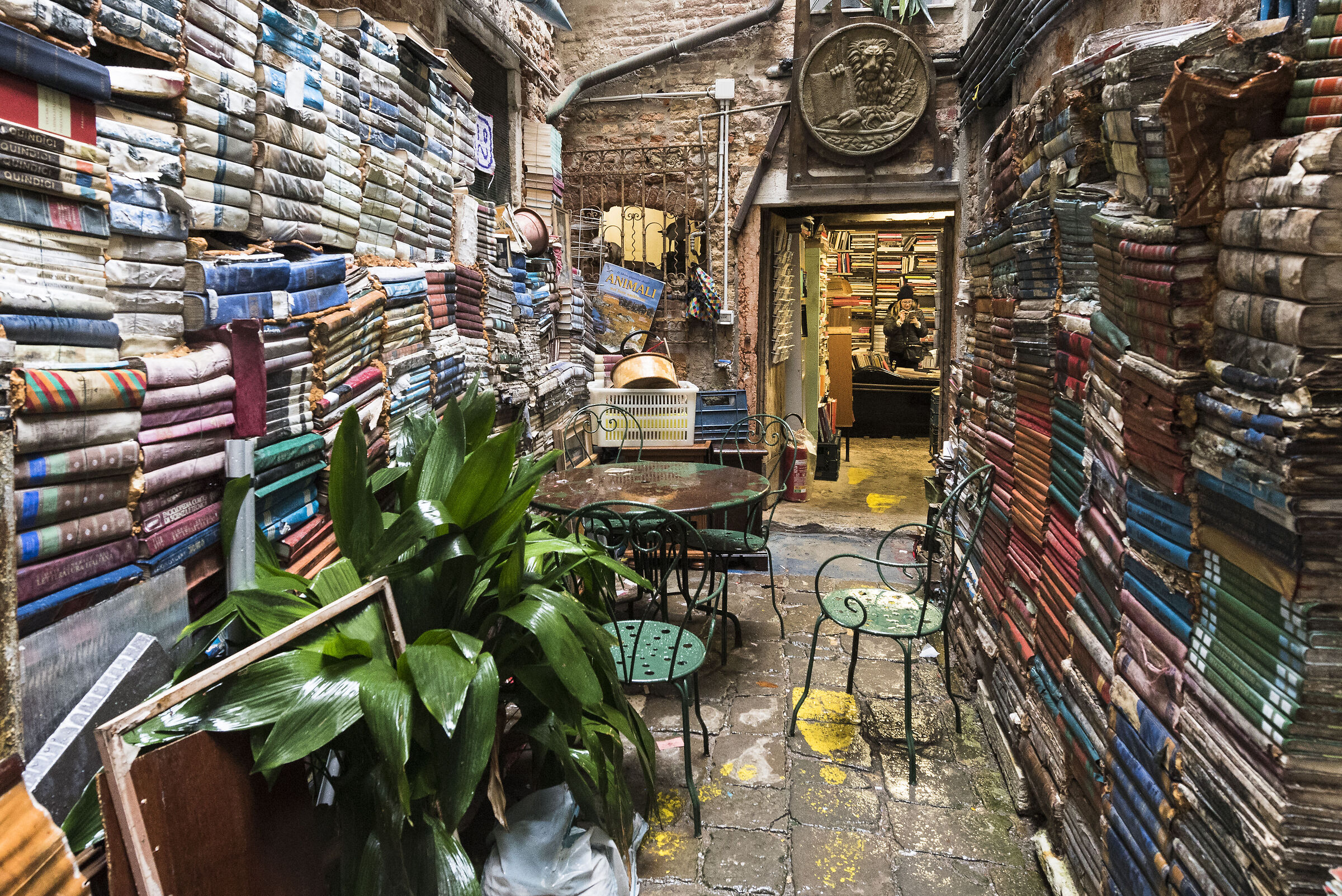 Una libreria a Venezia