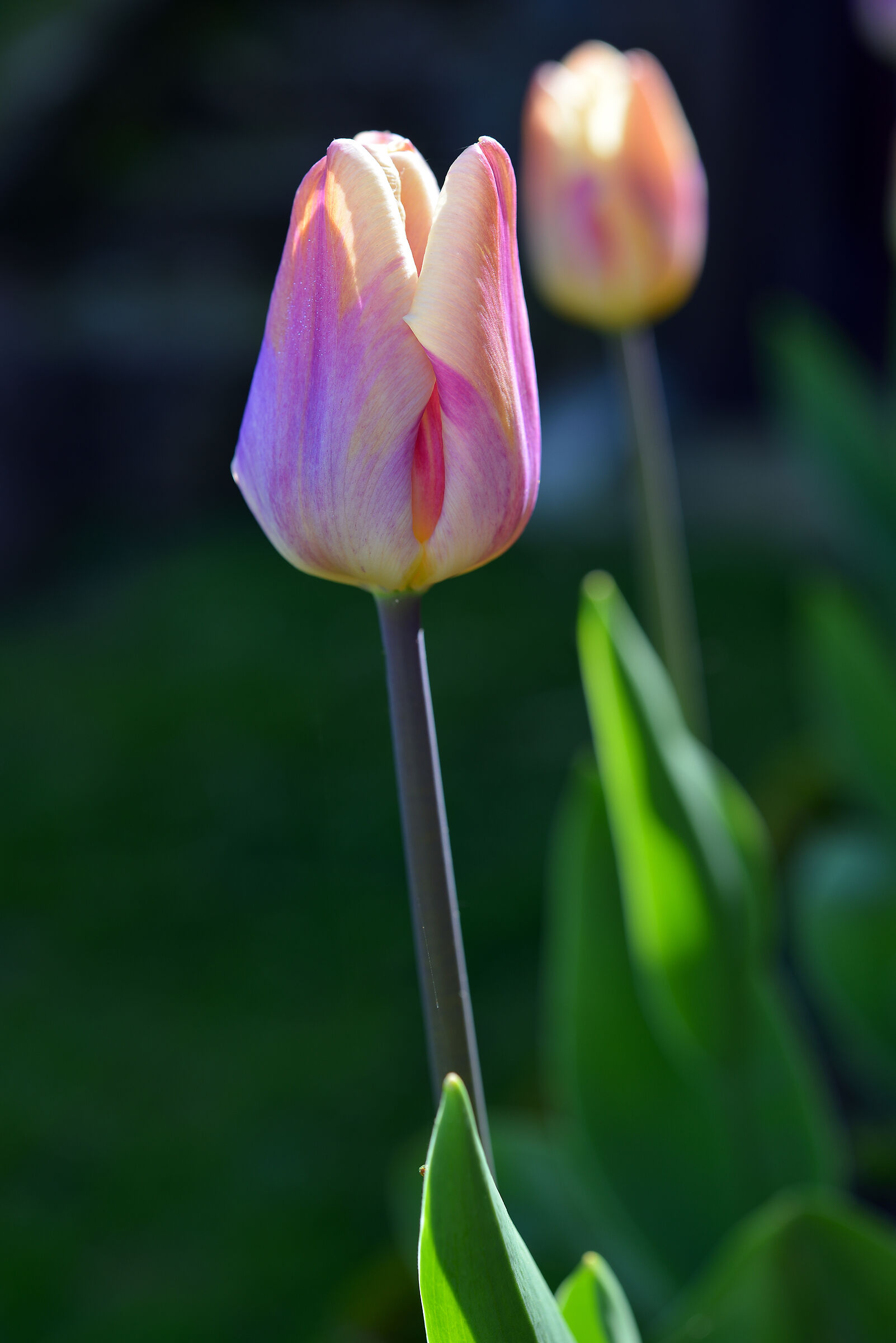 First glimmers of hope