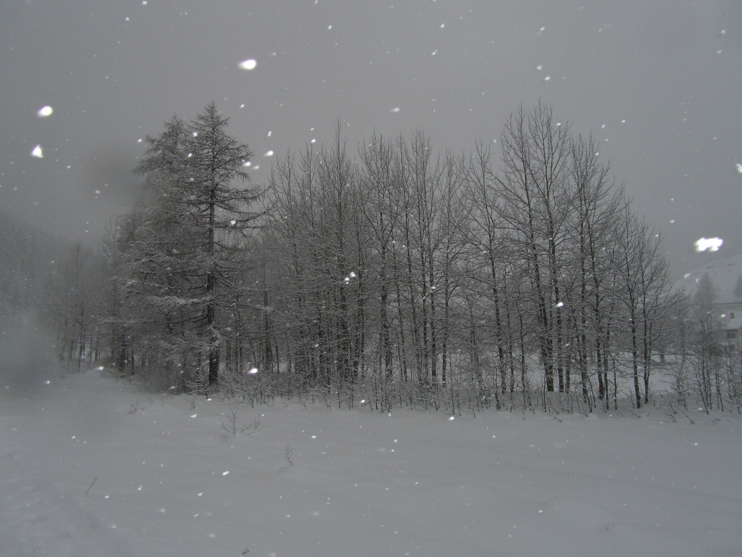 Snowfall