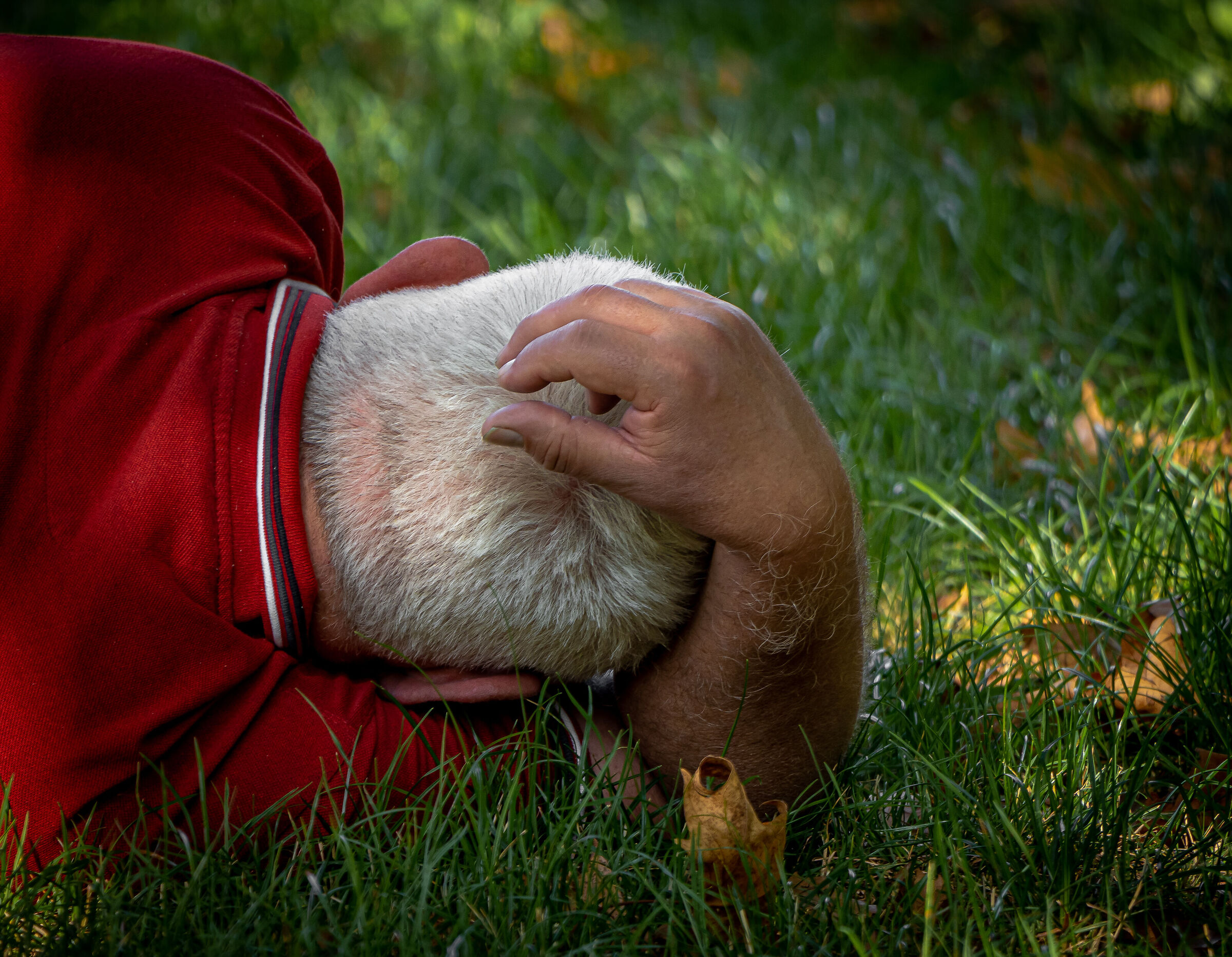 Sweet April is sleep...