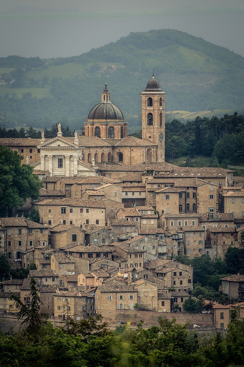 Still Urbino
