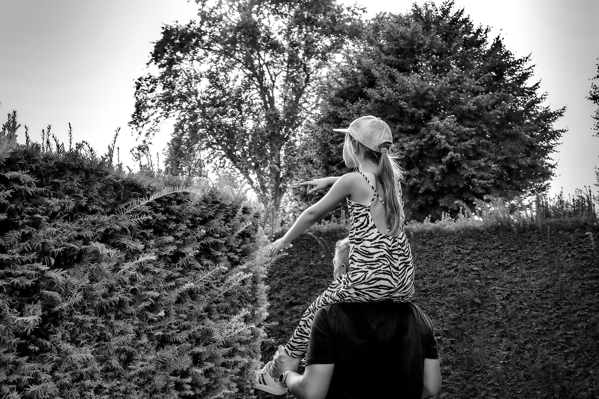 Tricky escape from the hedge maze. Wien, 2024.