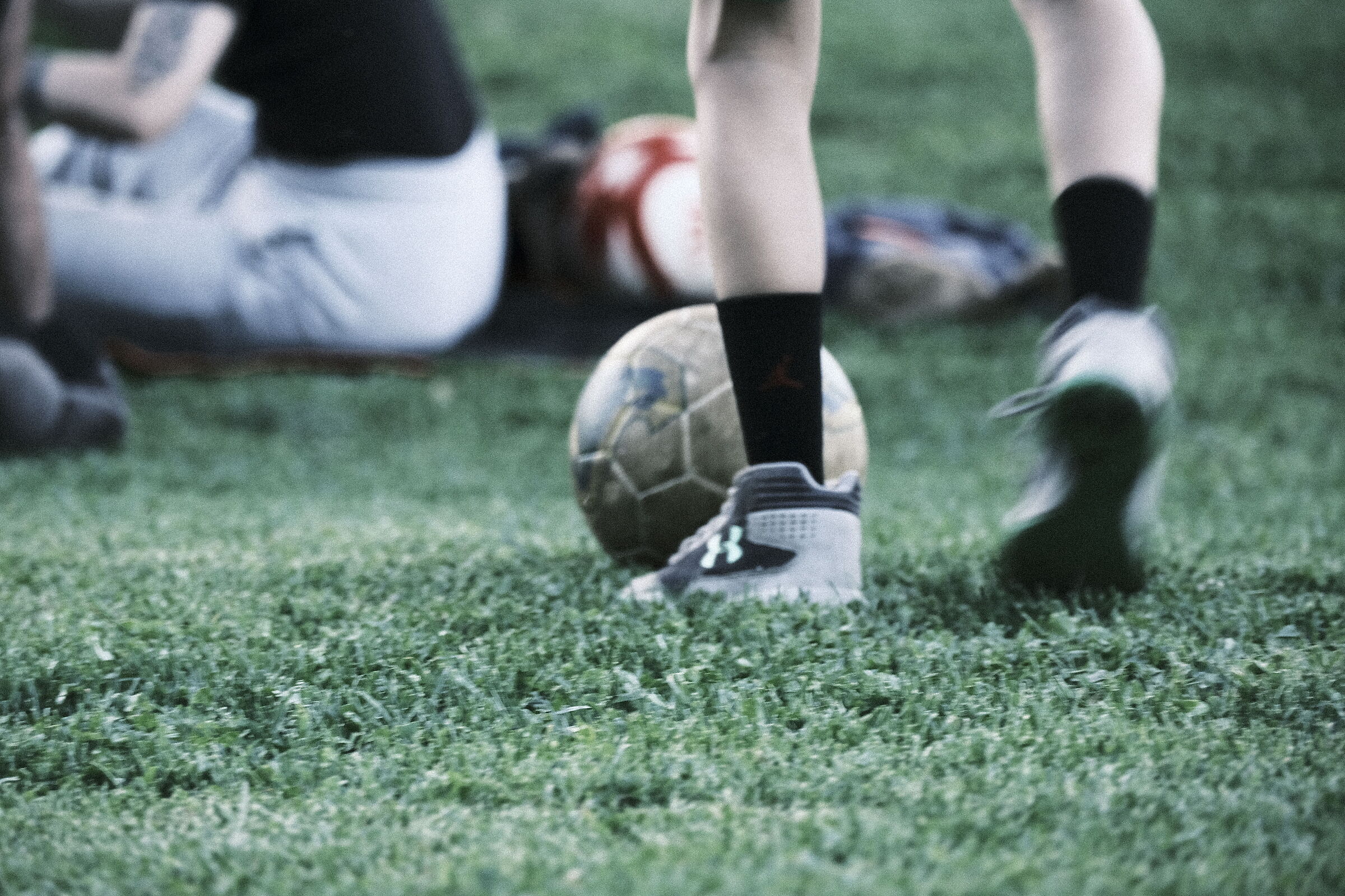 Afternoon at the park