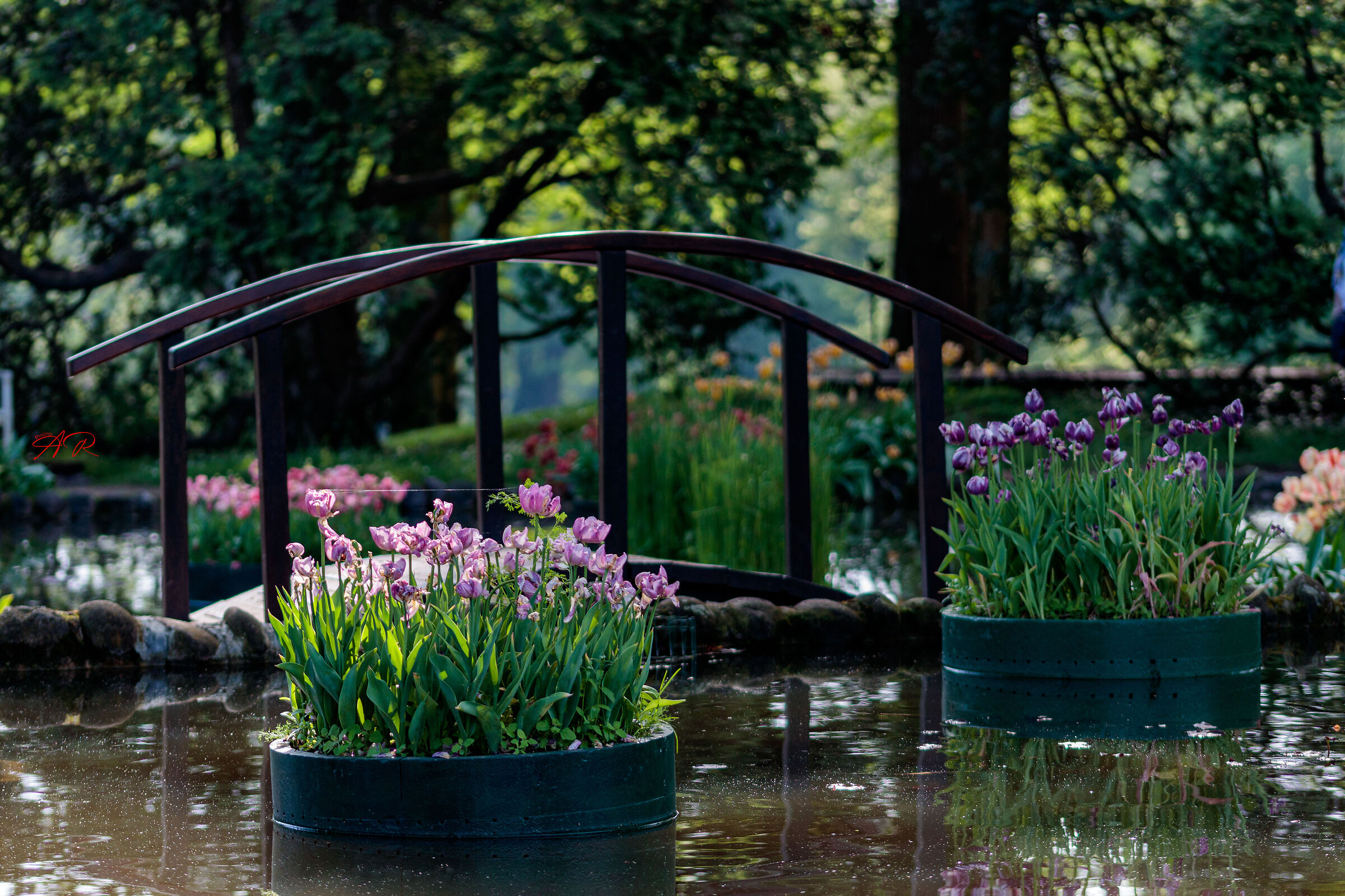 Laghetto parco Sigurtà