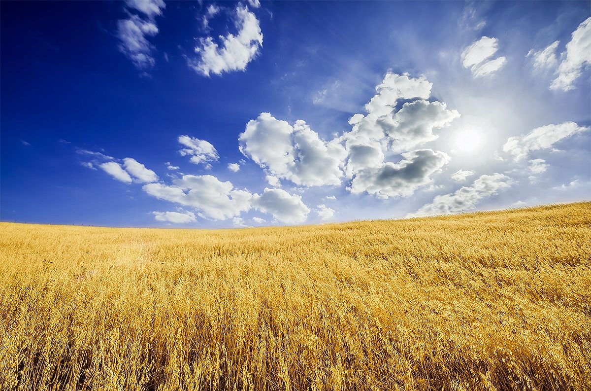 Windows Desktop Style