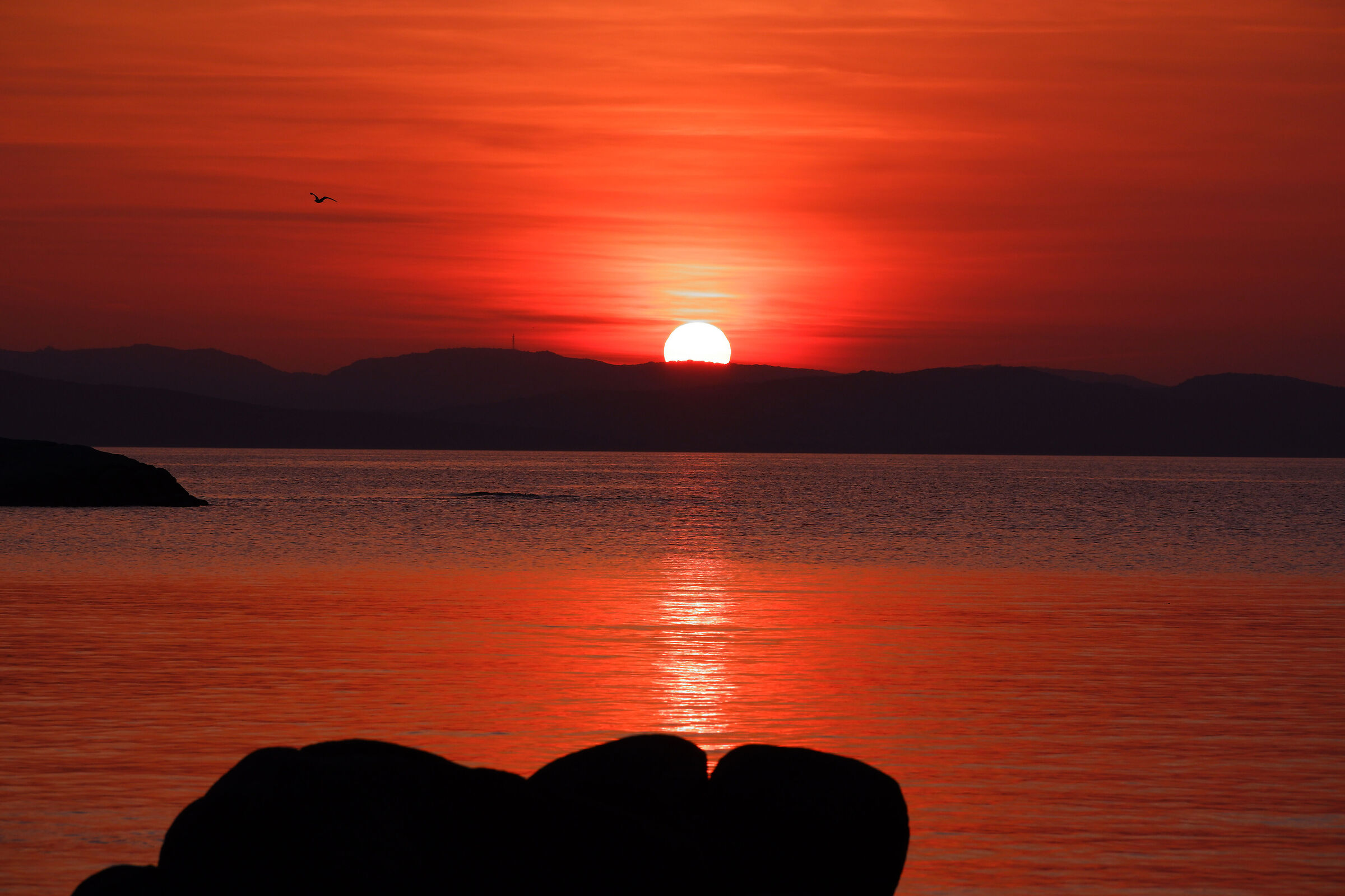 Red sun