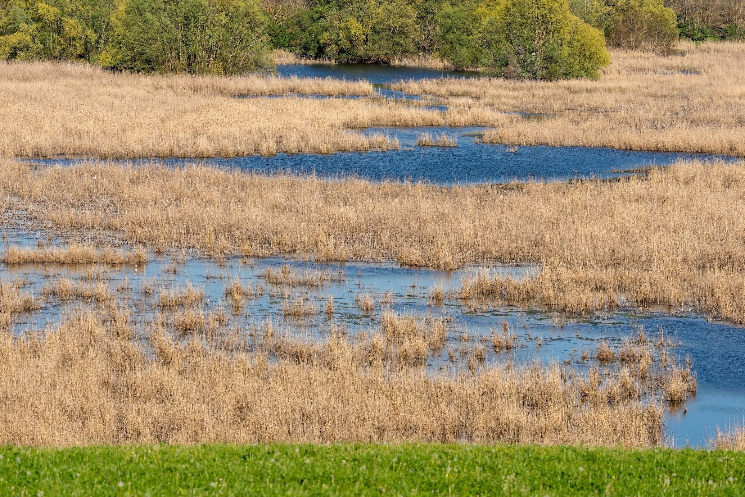 La palude di Colfiorito