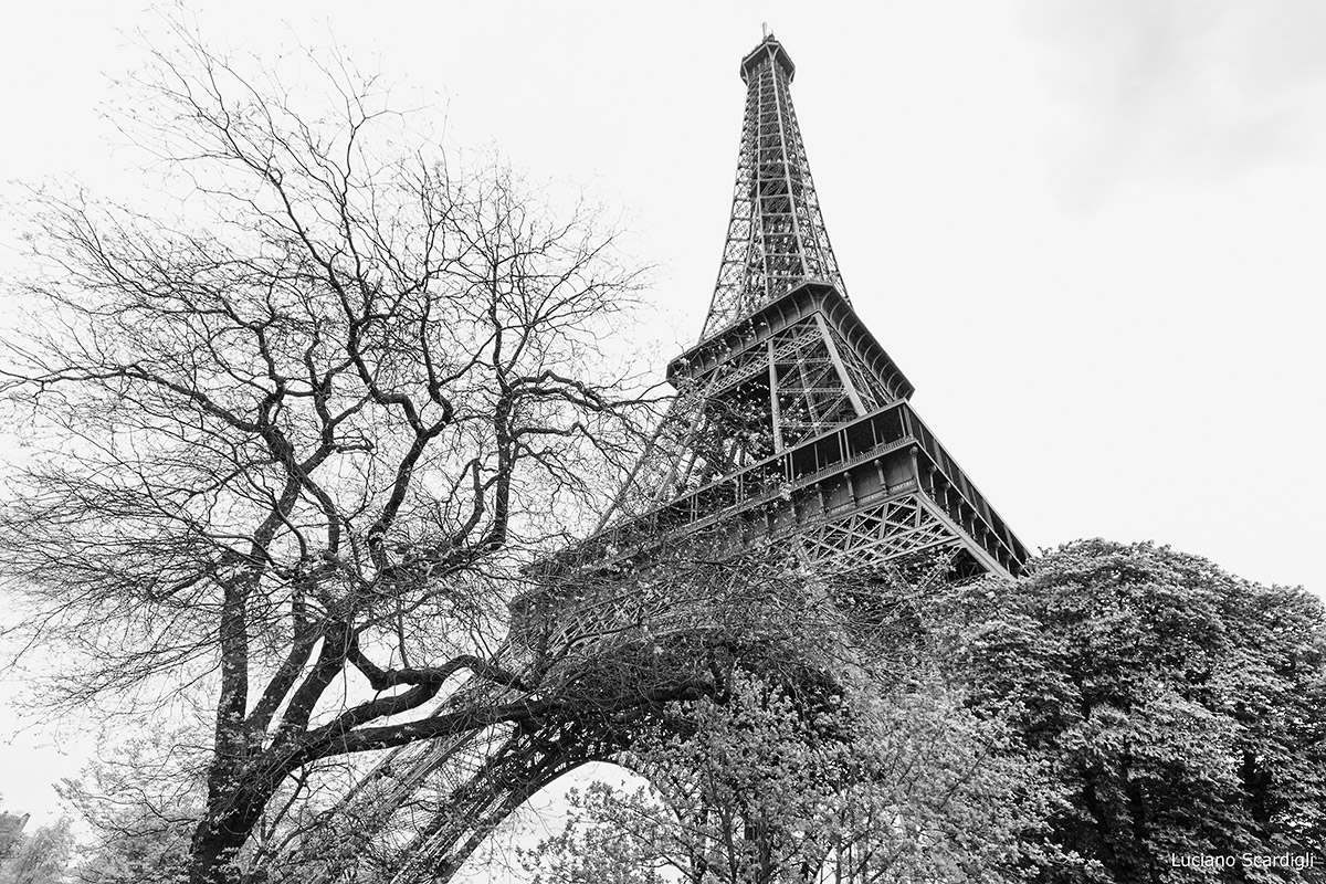 MG7_8334,Intrecci Parigini