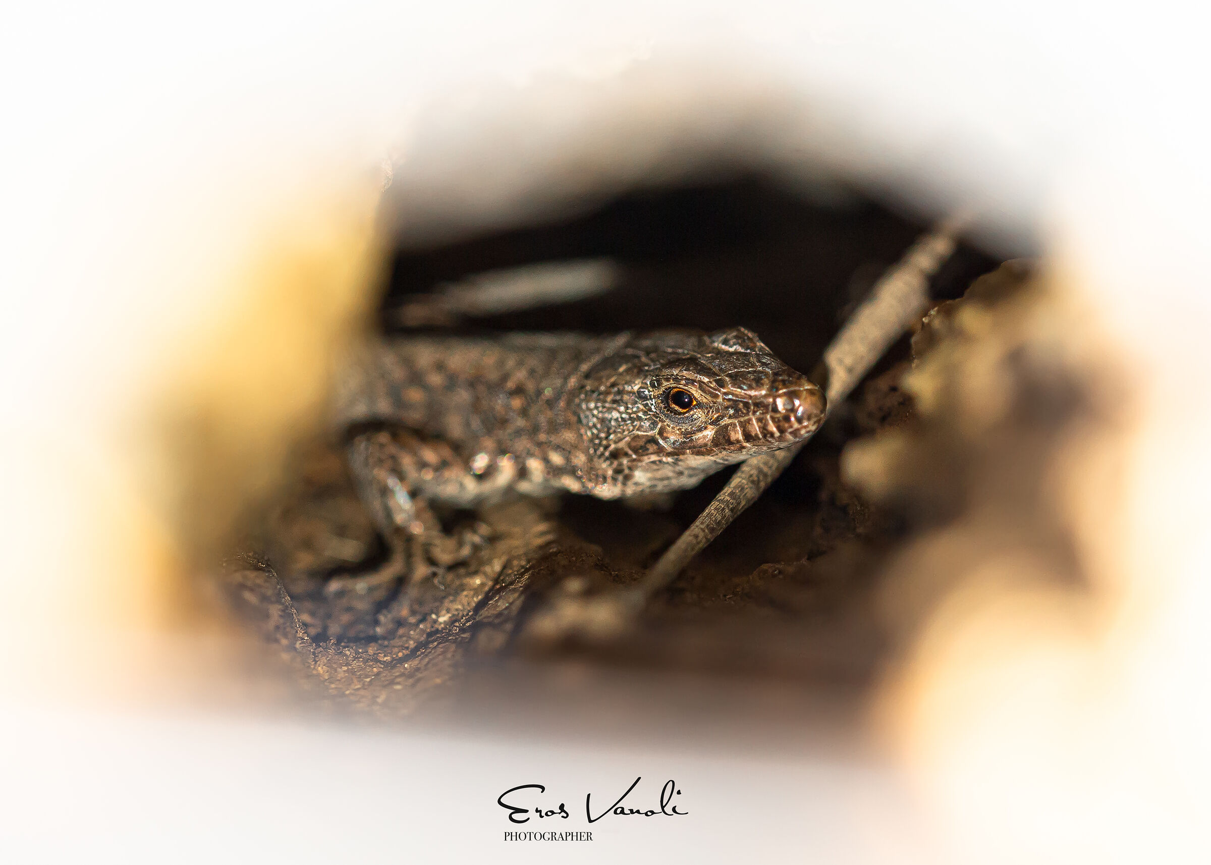 Un nascondiglio quasi perfetto