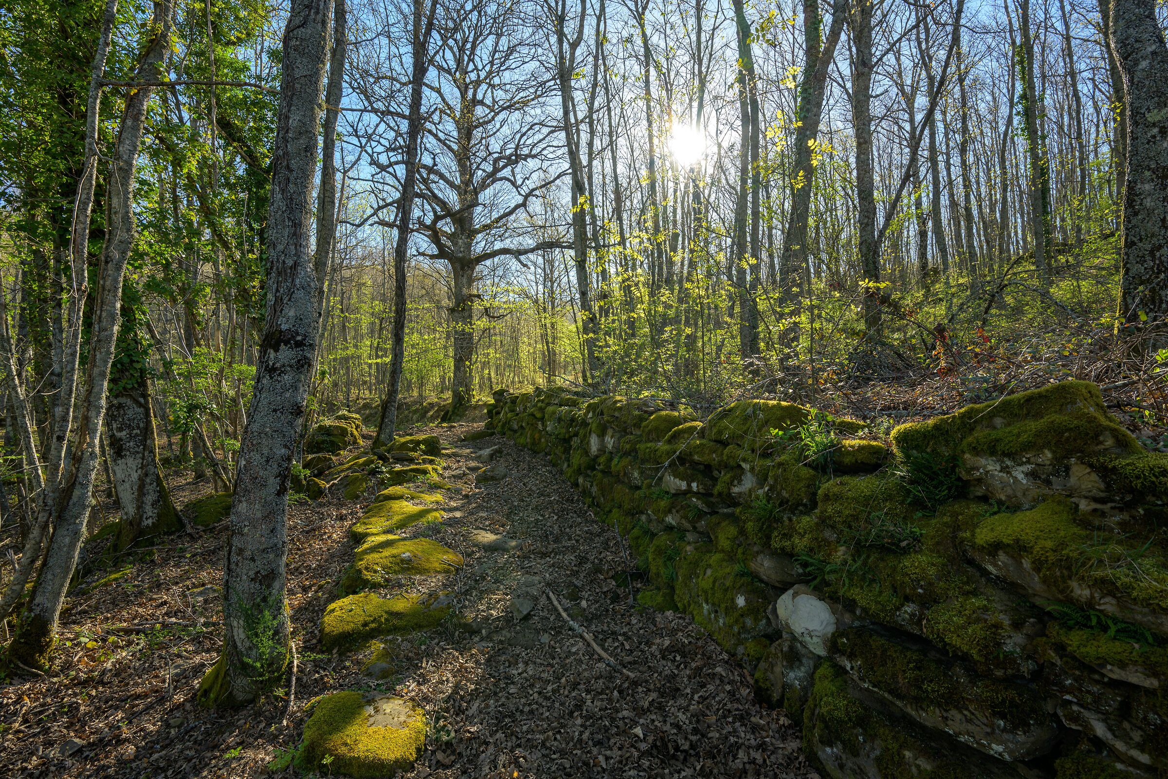 Ancient Roman paving - Alpe della Luna