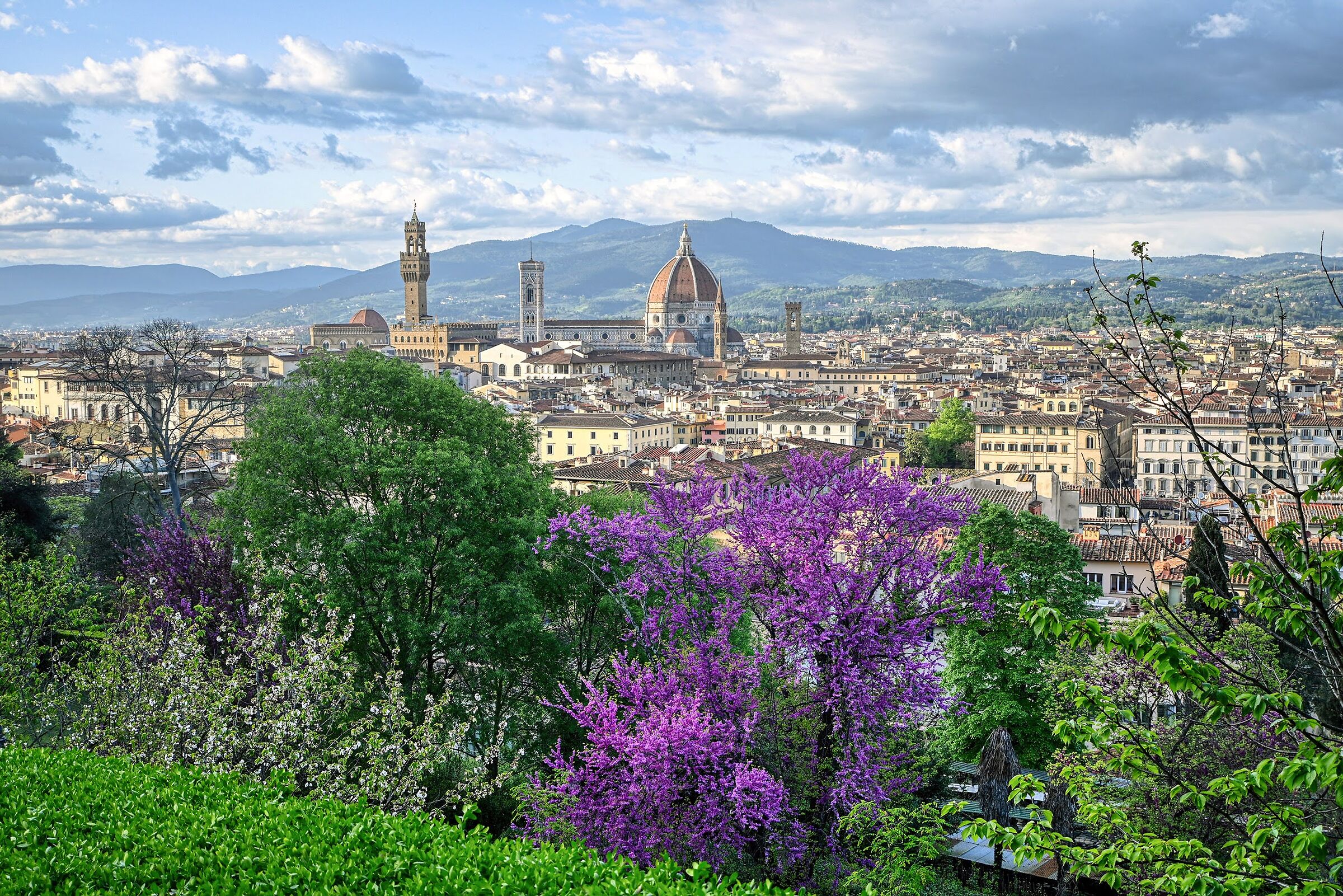 Mattinata fiorentina ... è primavera !!!