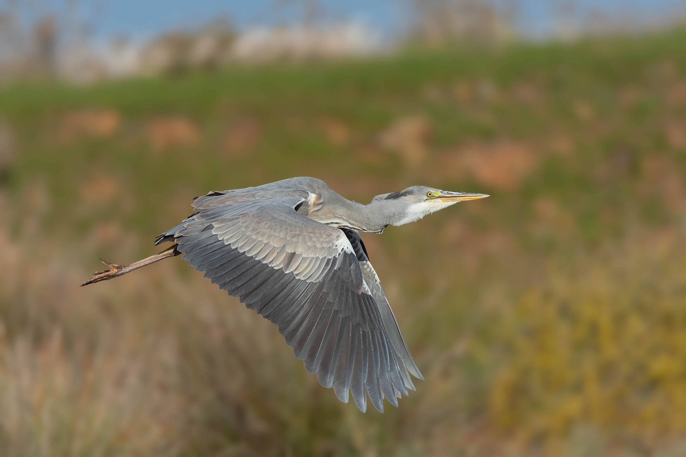 In fuga con il malloppo