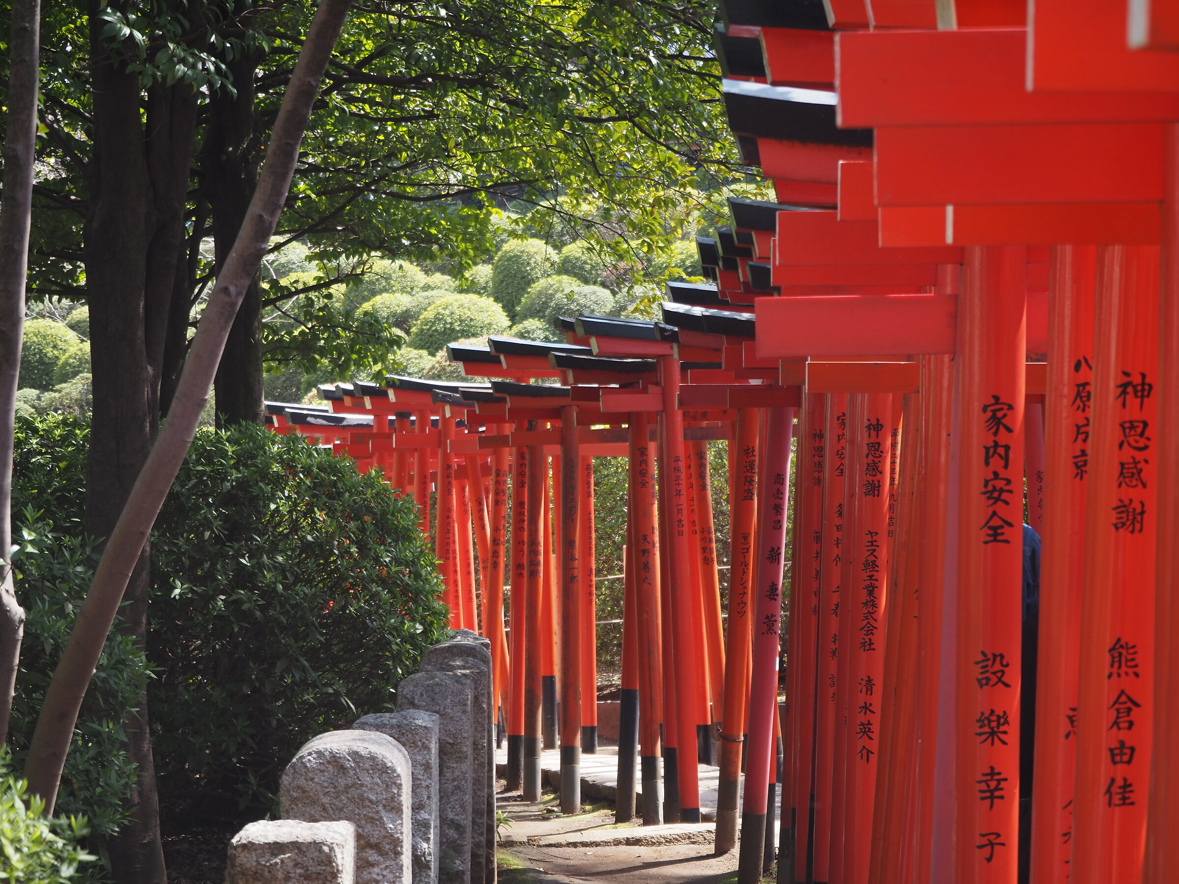 Torii a Nezu