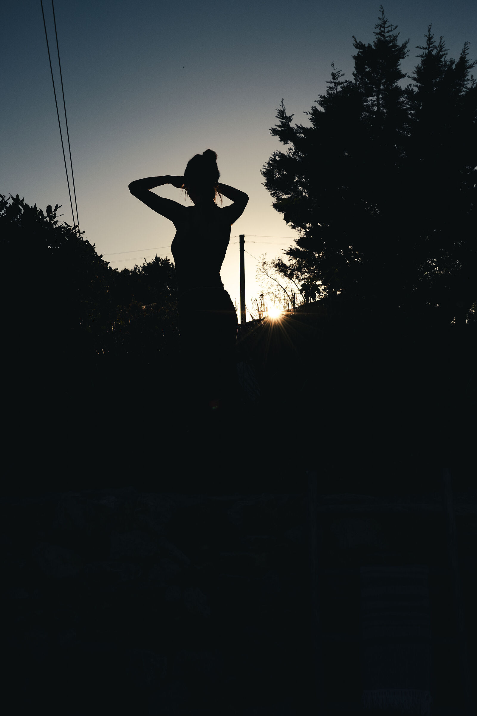 silhouette