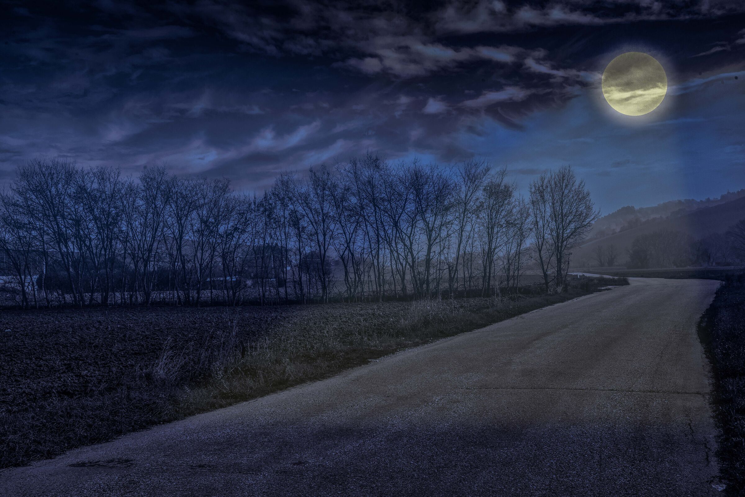 Beyond the road