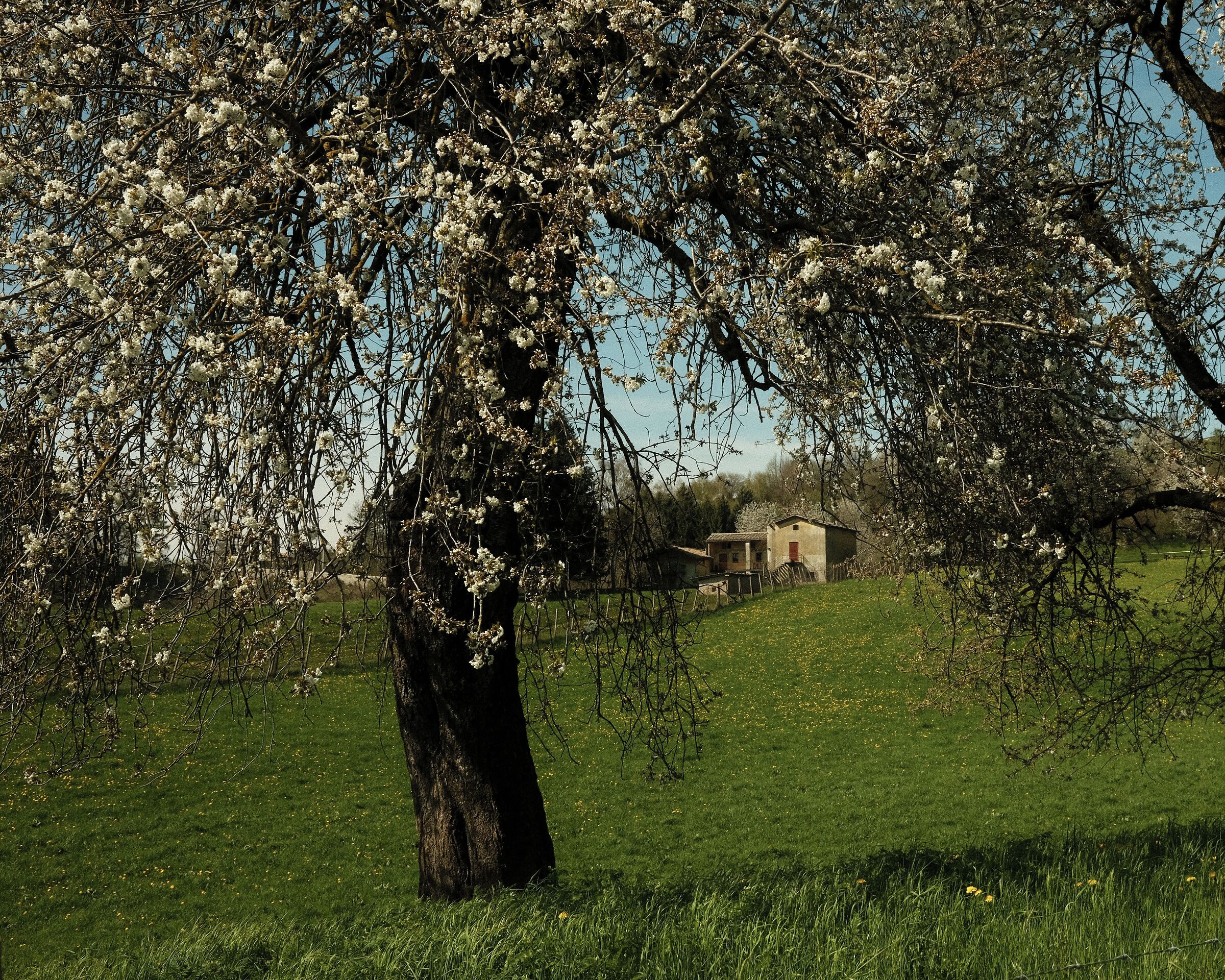 Monte Baldo