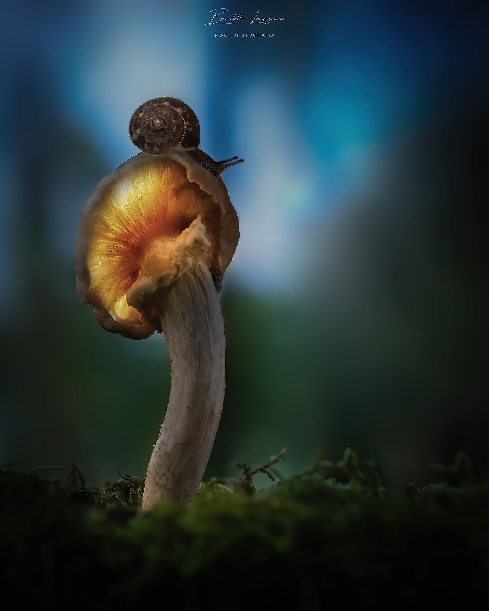 Spengo la luce e vado a dormire