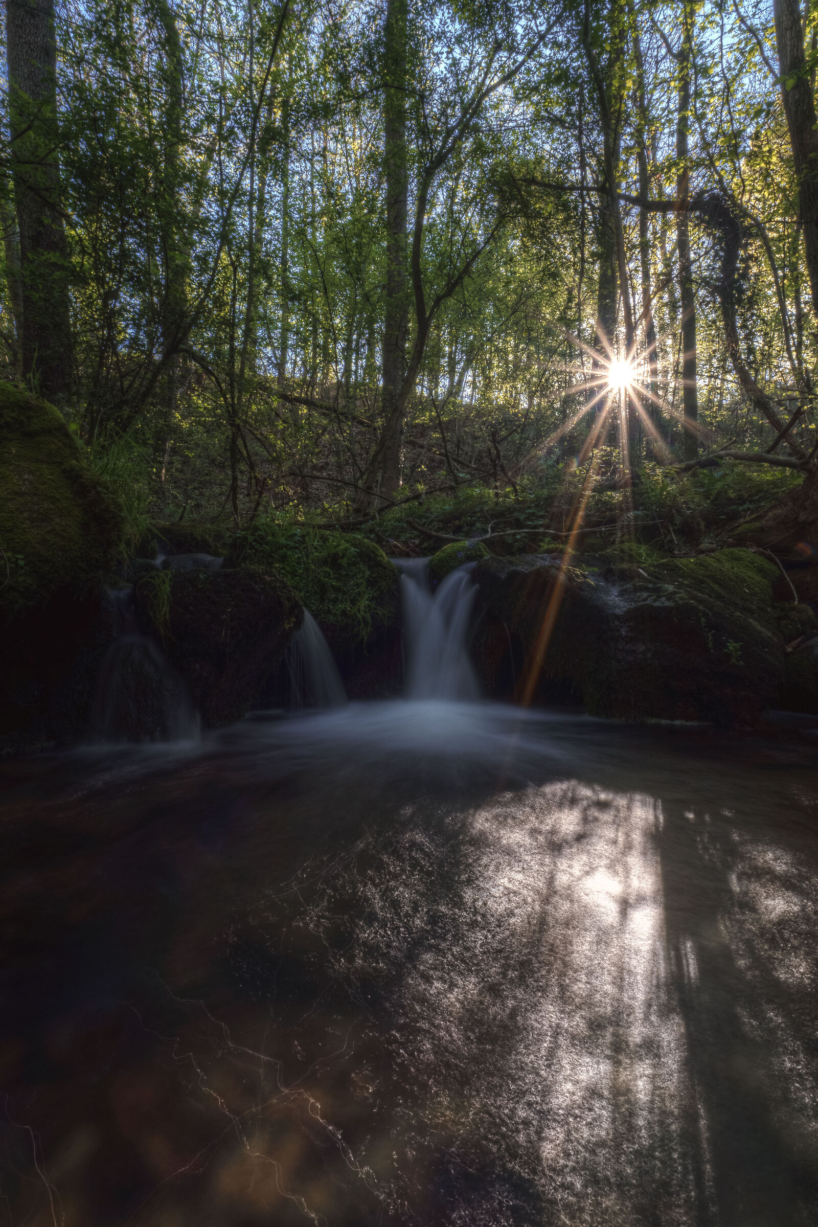 Torrent waterfalls - Loc. Sant'Eufemia (NO)